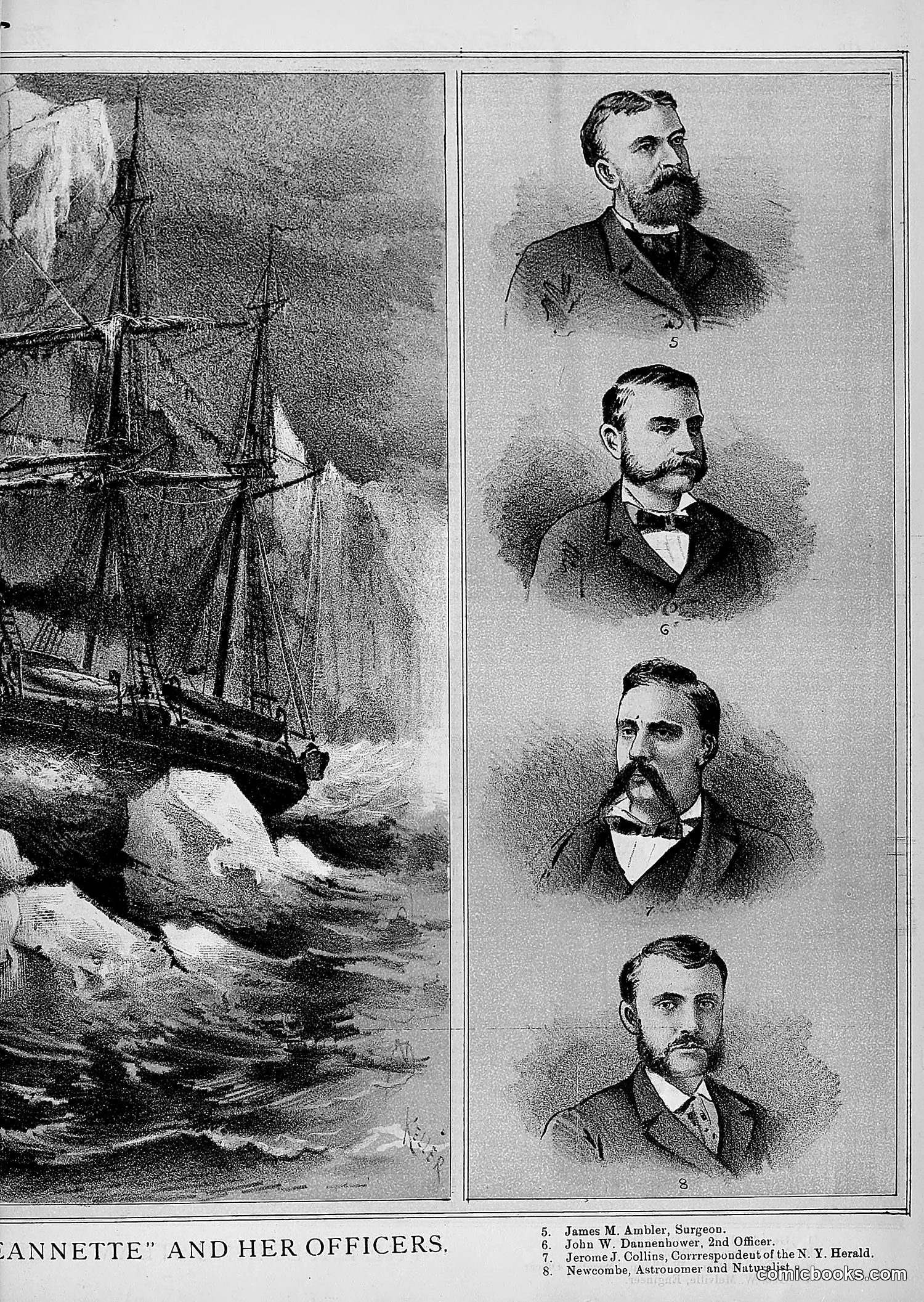 The Wasp — 1881 — page 516 of 532
