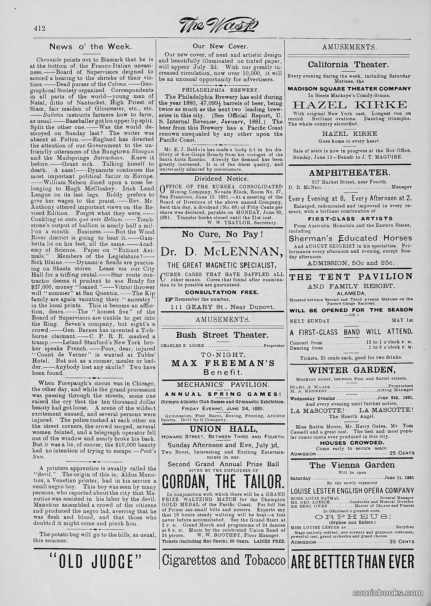 The Wasp — 1881 — page 519 of 532