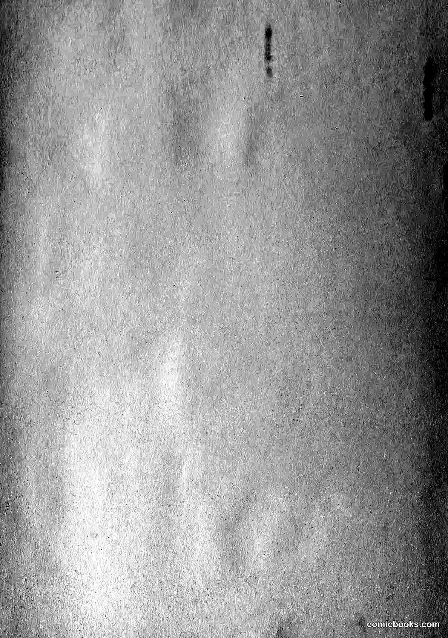 The Wasp — 1881 — page 526 of 532