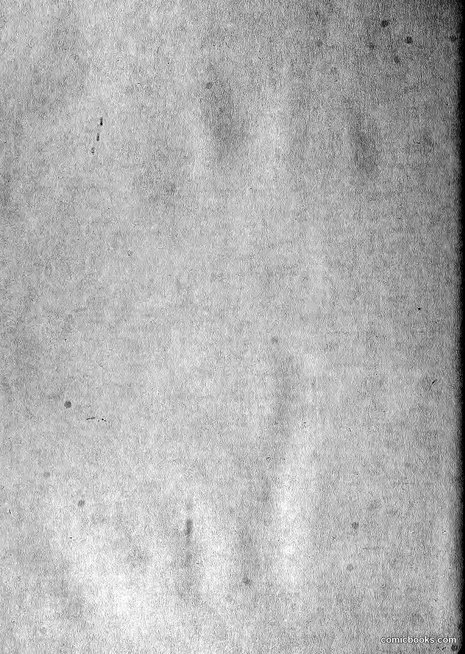 The Wasp — 1881 — page 527 of 532