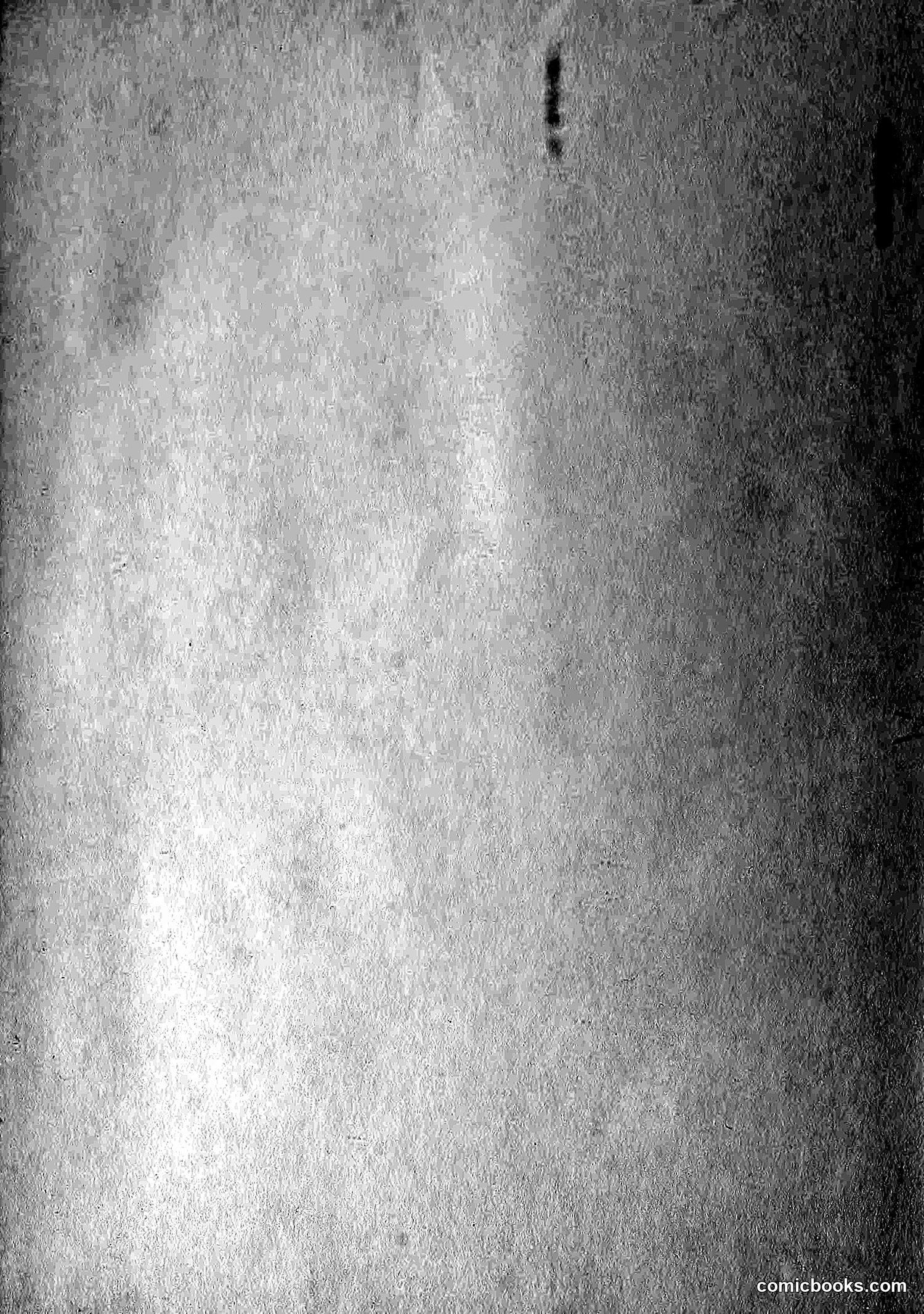 The Wasp — 1881 — page 528 of 532