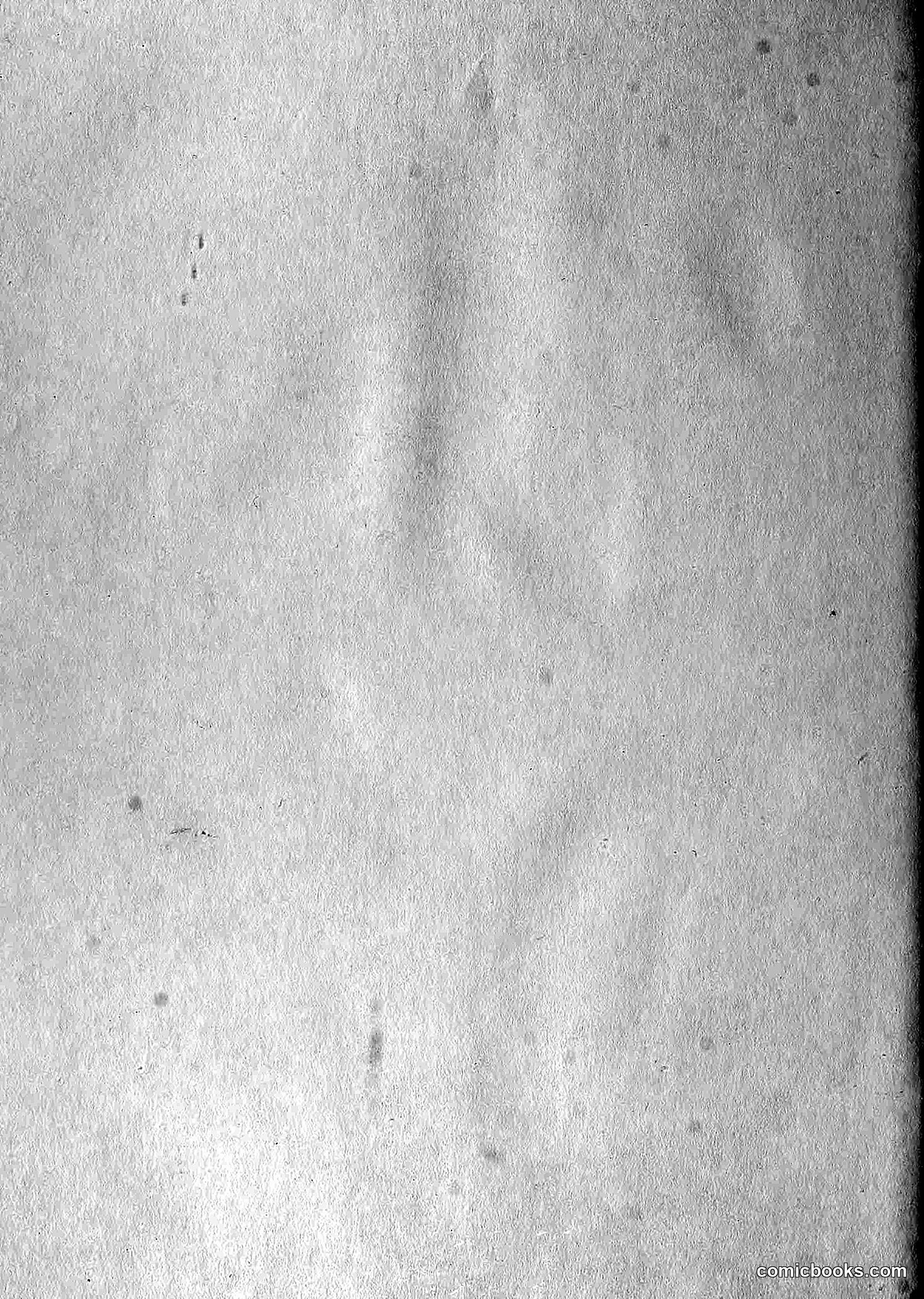 The Wasp — 1881 — page 529 of 532