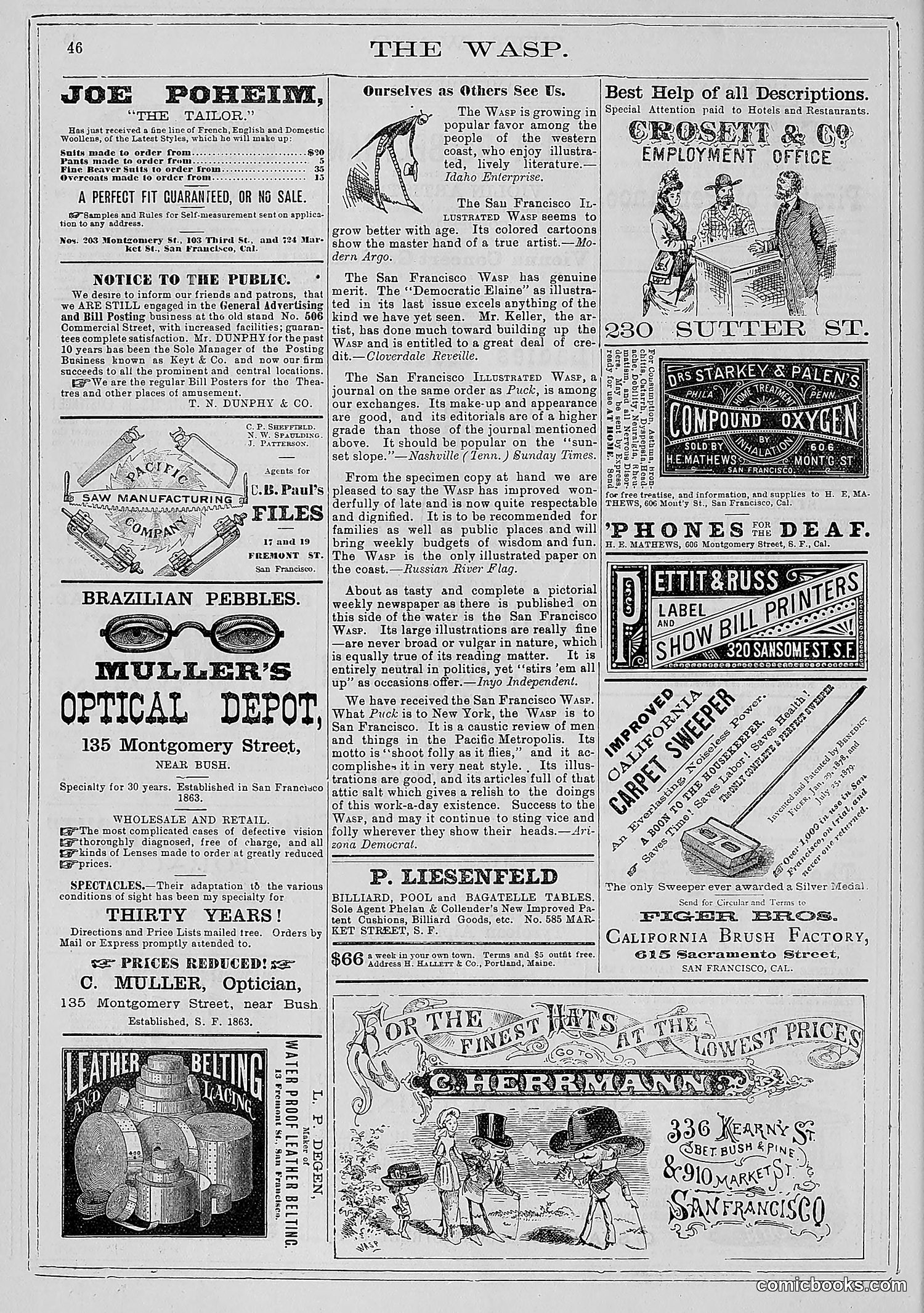 The Wasp — 1881 — page 63 of 532