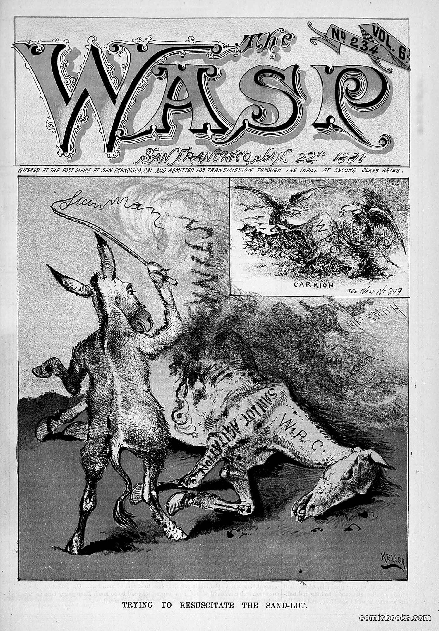 The Wasp — 1881 — page 70 of 532