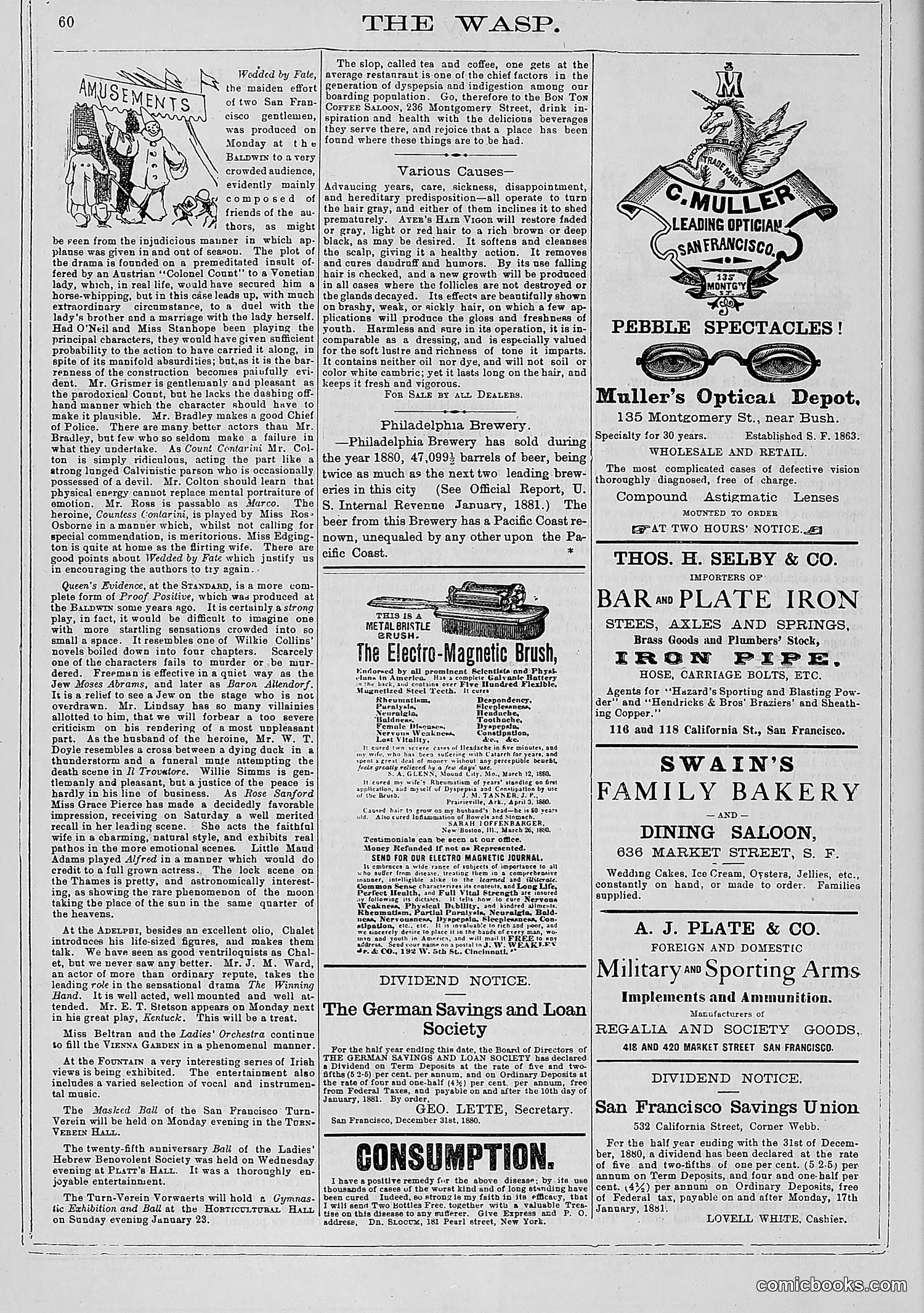 The Wasp — 1881 — page 81 of 532