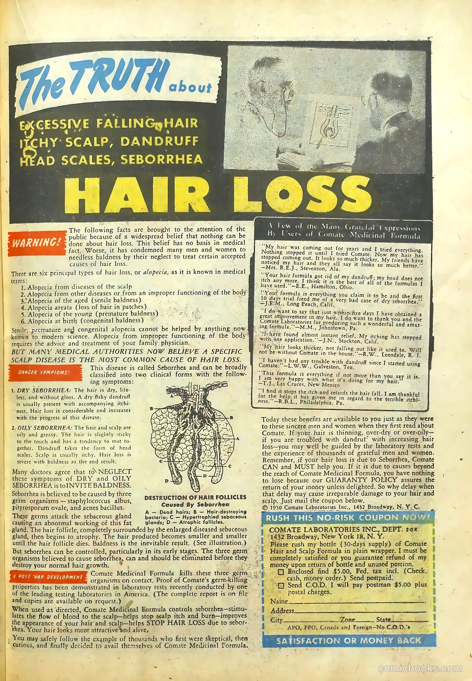 Justice Traps the Guilty #22 (1949) — page 33 of 56