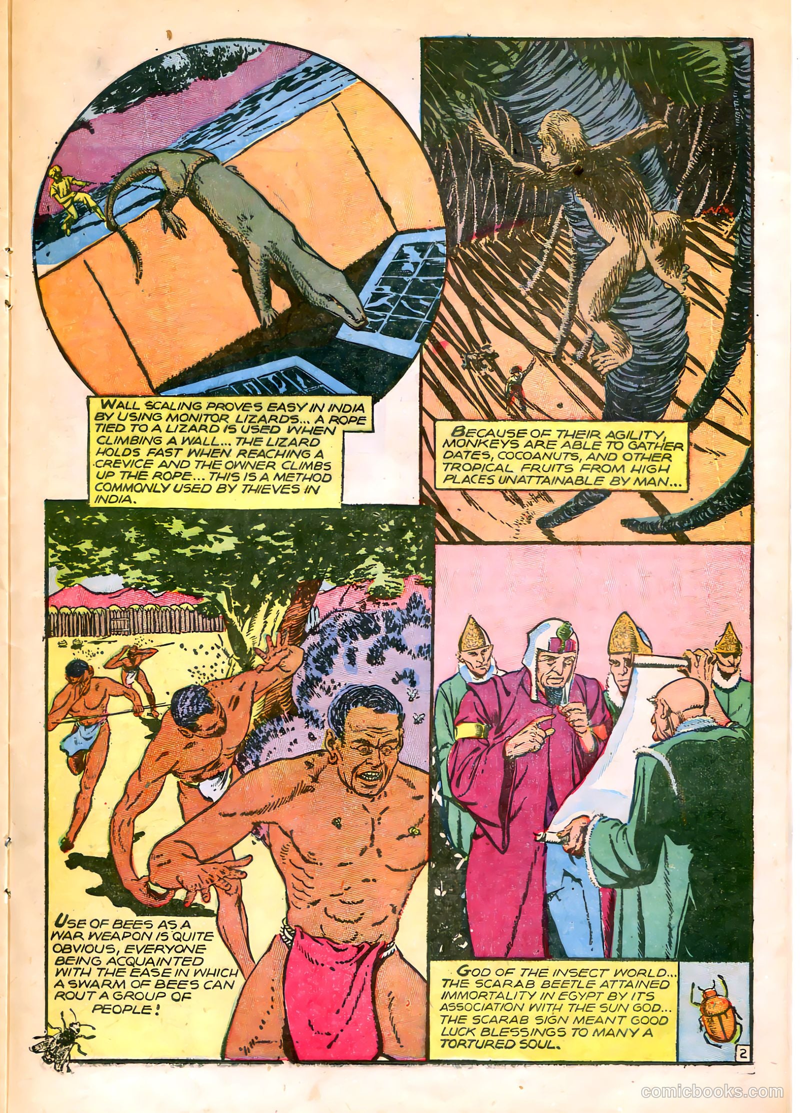 Kaänga #19 (1954) — page 22 of 37