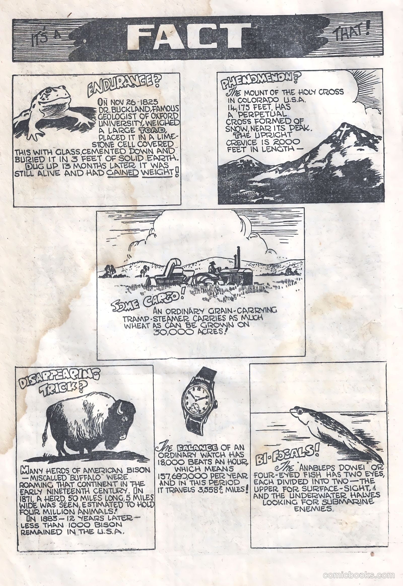 Kaänga Comics #2 — page 14 of 28
