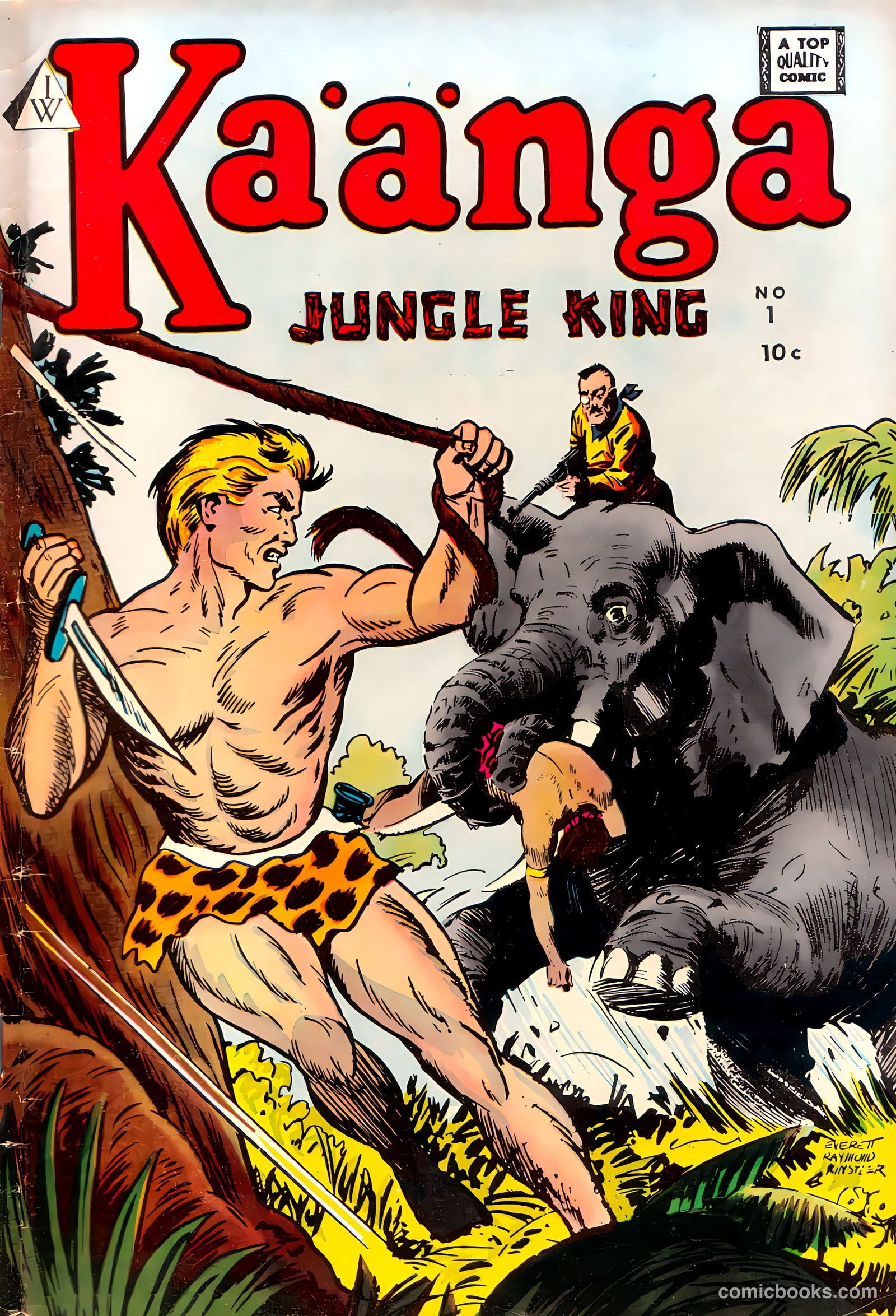 Kaanga #1
