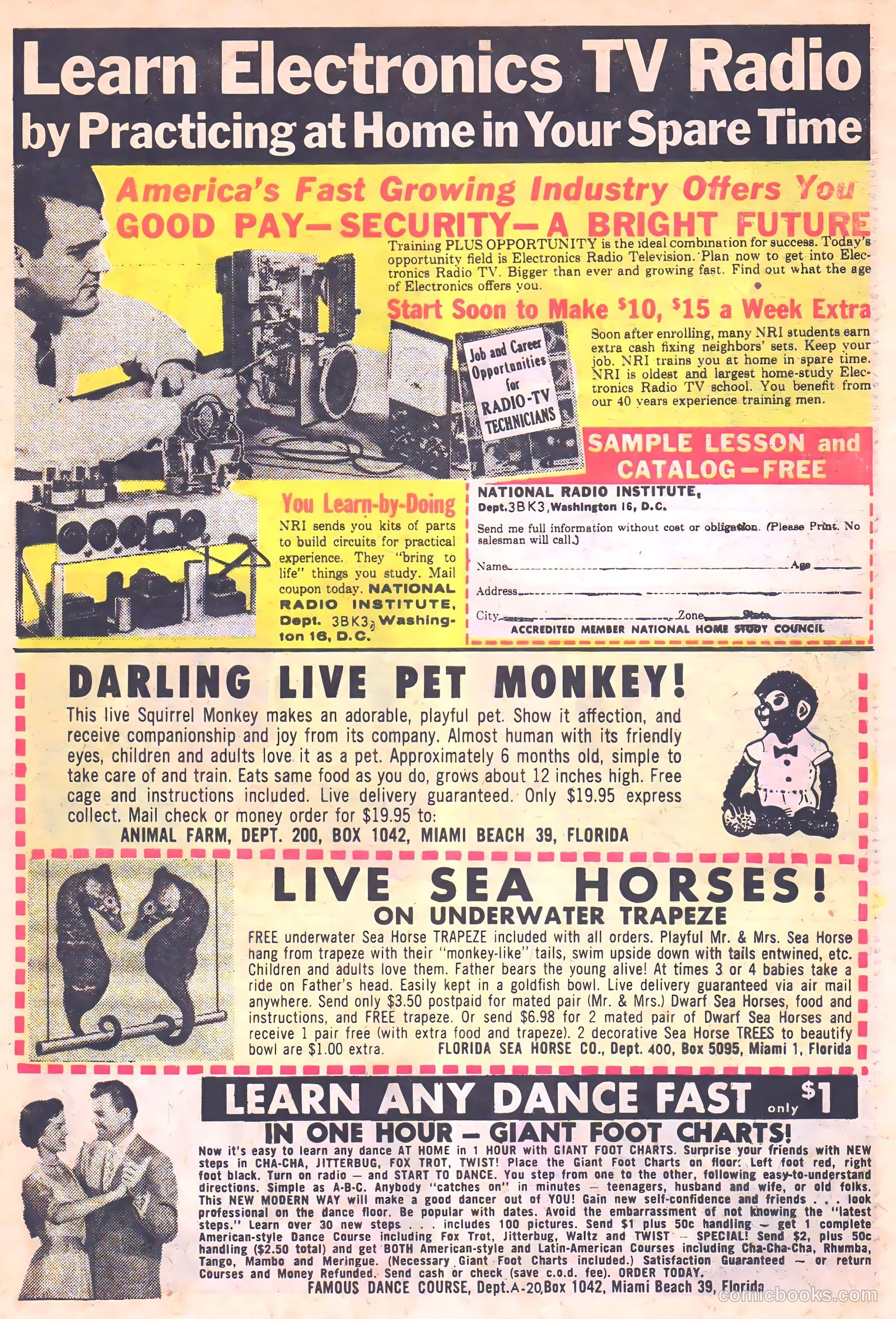Kid Montana #41 (1963) — page 31 of 36