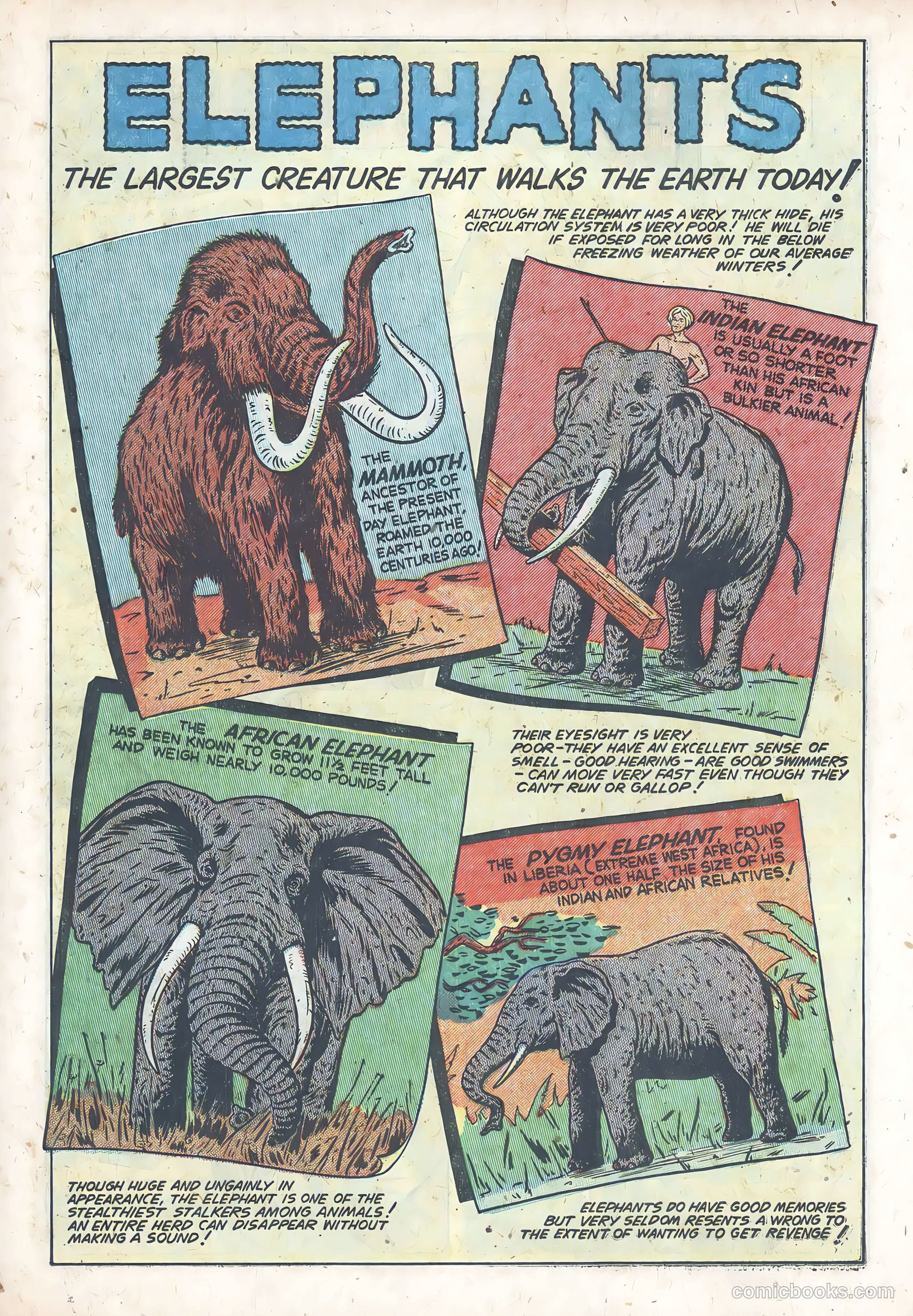 Kit Carson #2 (1951) — page 19 of 36