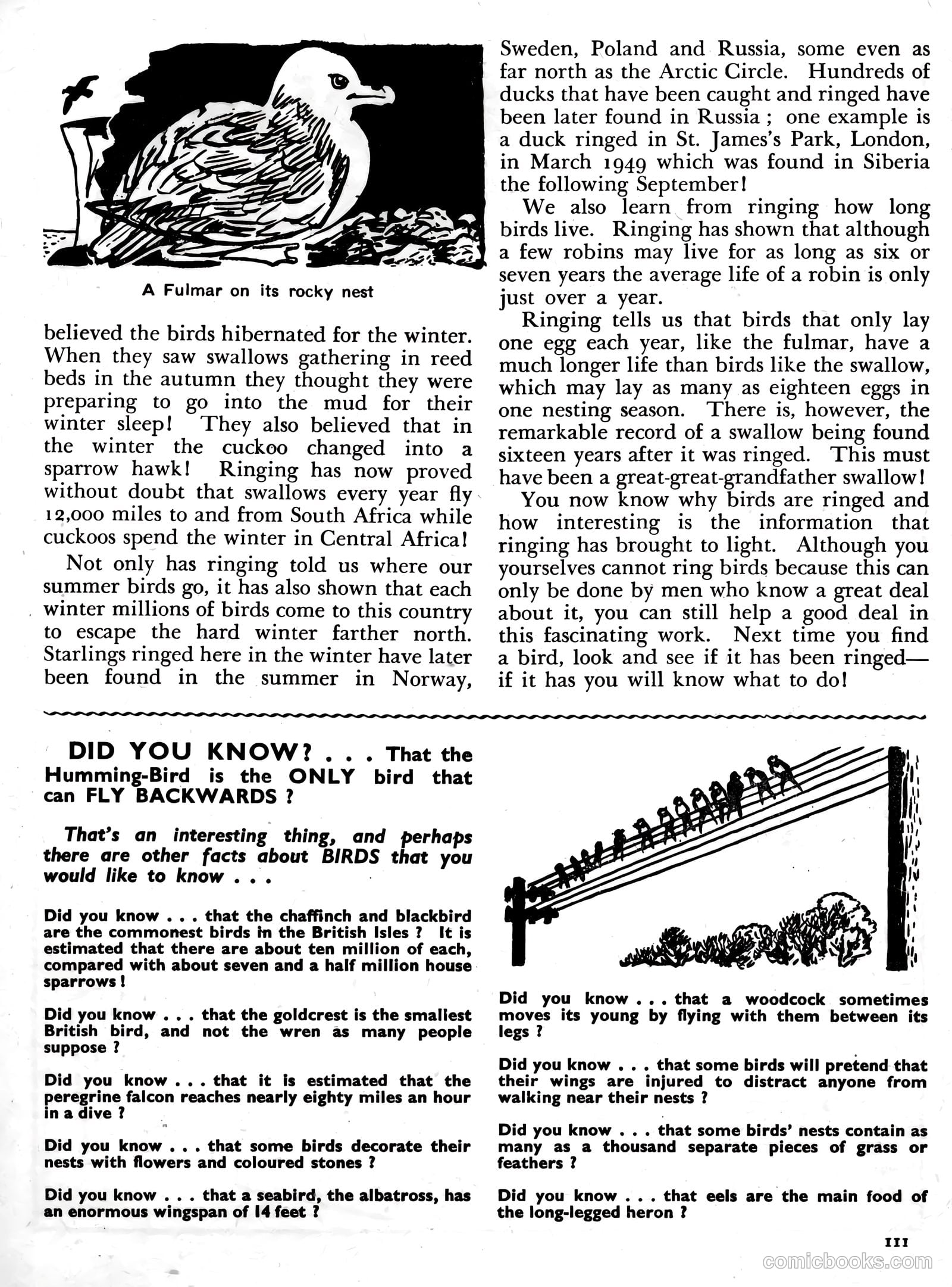 Knockout Annual #1957 (1956) — page 114 of 198