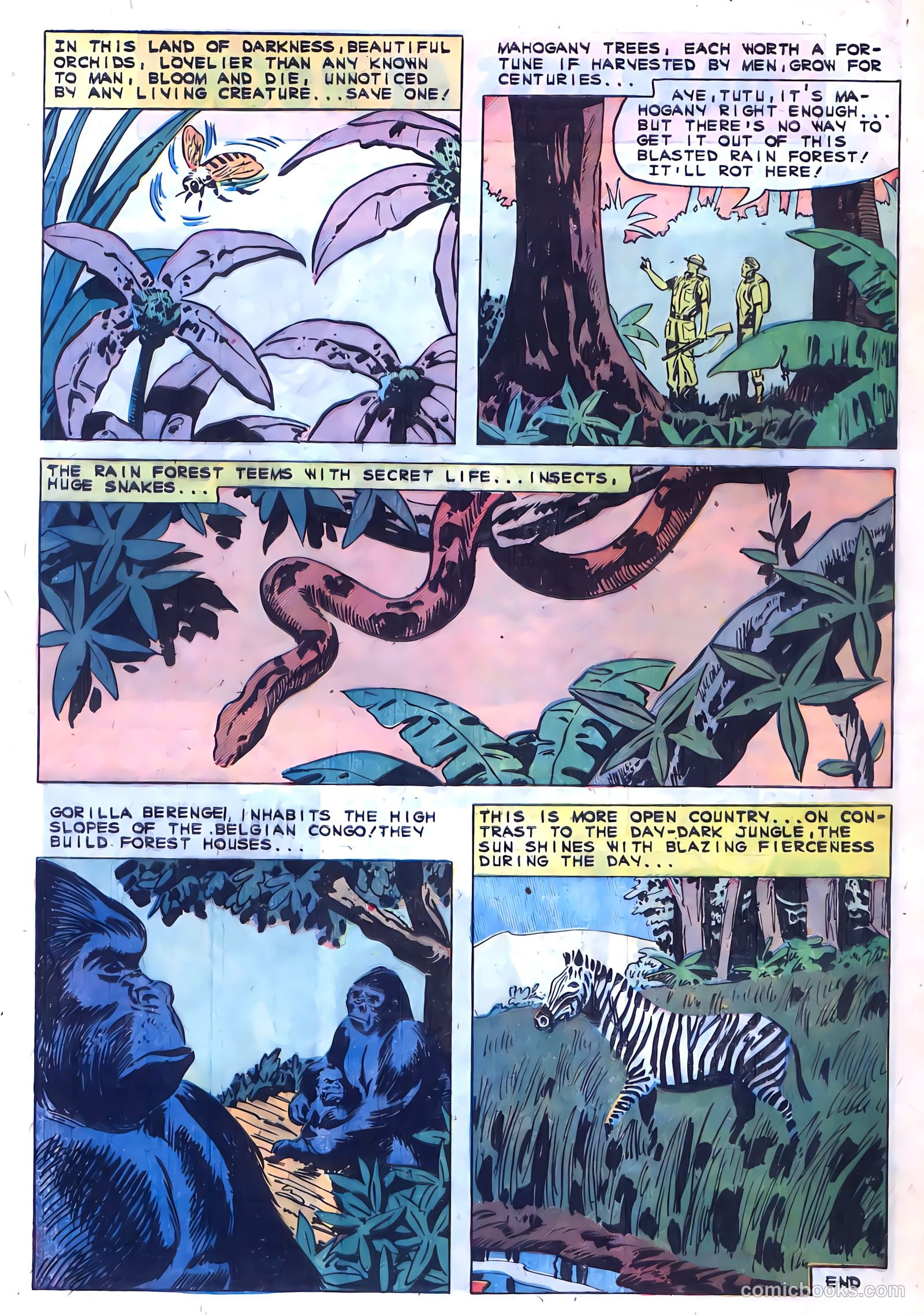Konga #1 (1960) — page 28 of 36