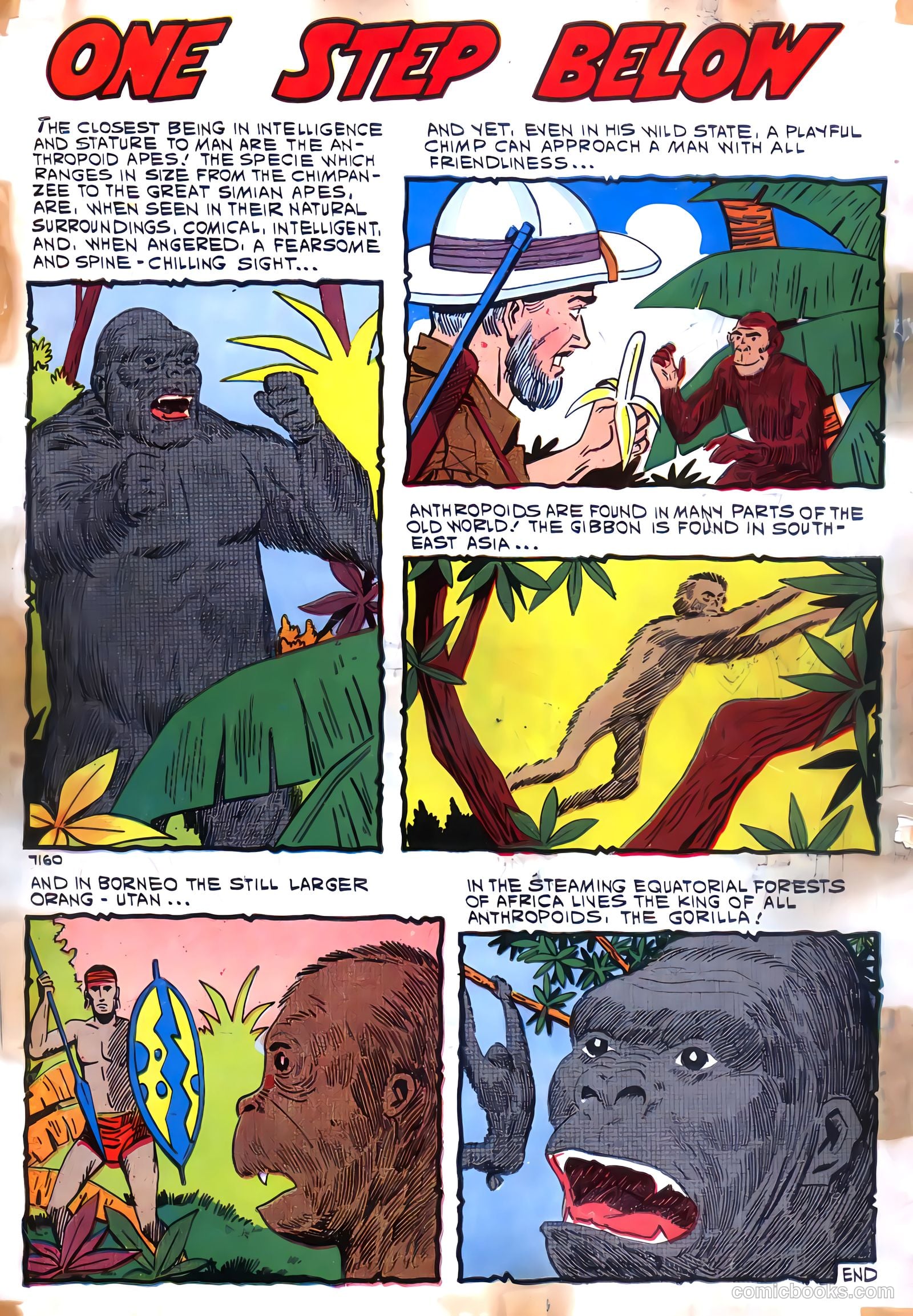 Konga #1 (1960) — page 36 of 36