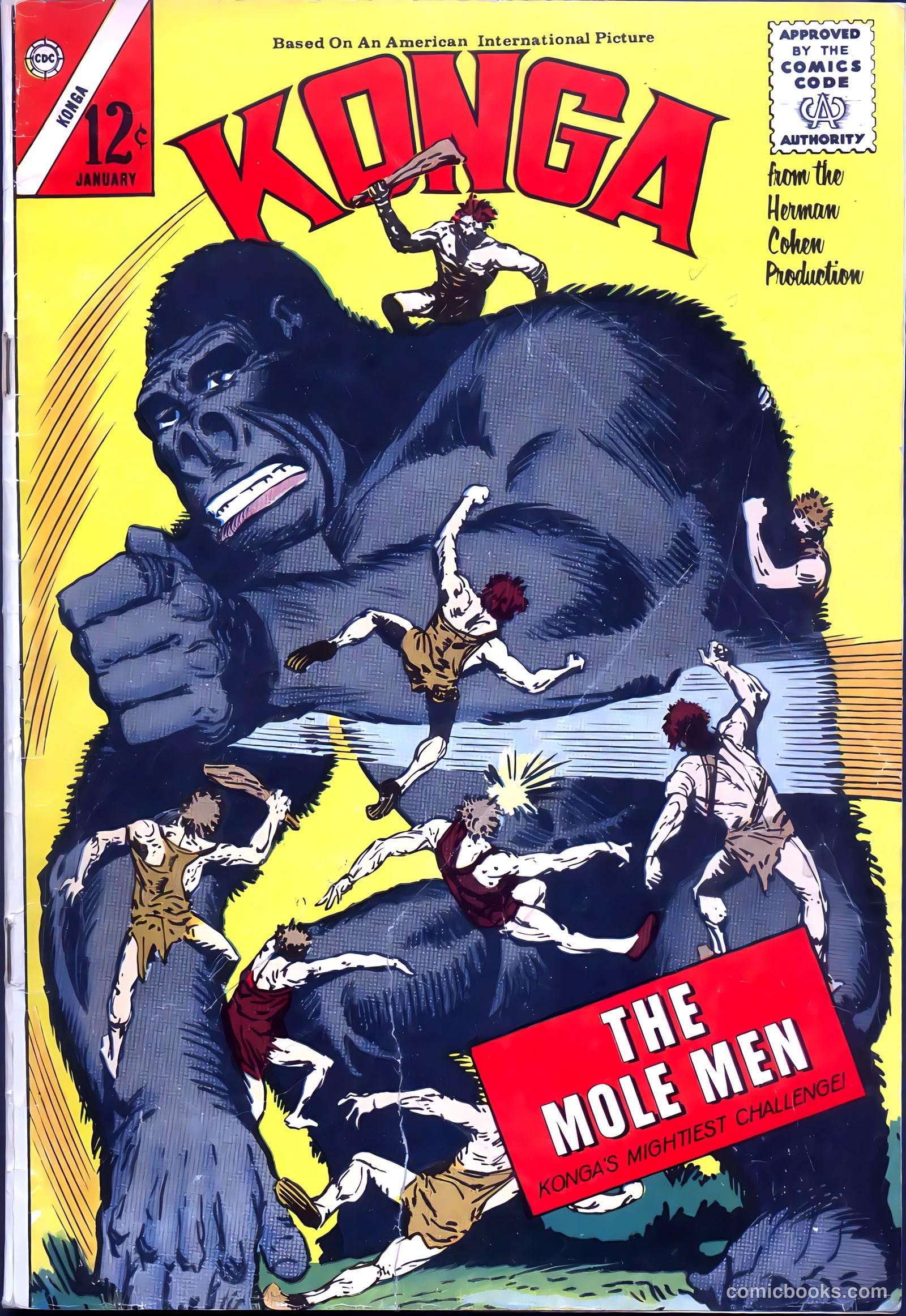 Konga #10