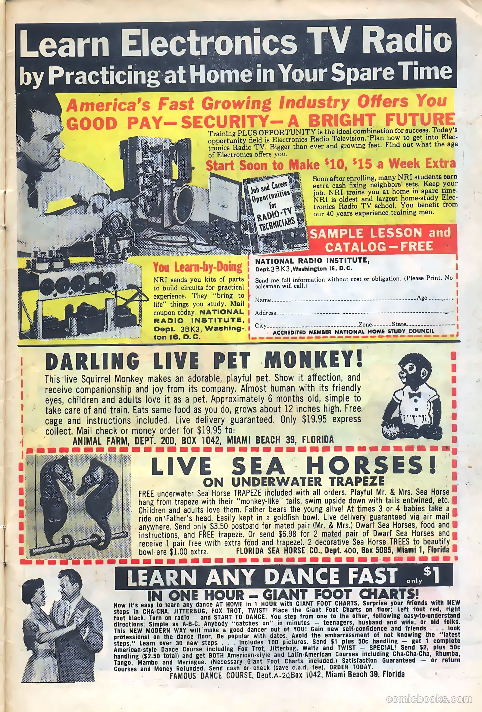 Konga #12 (1963) — page 31 of 36