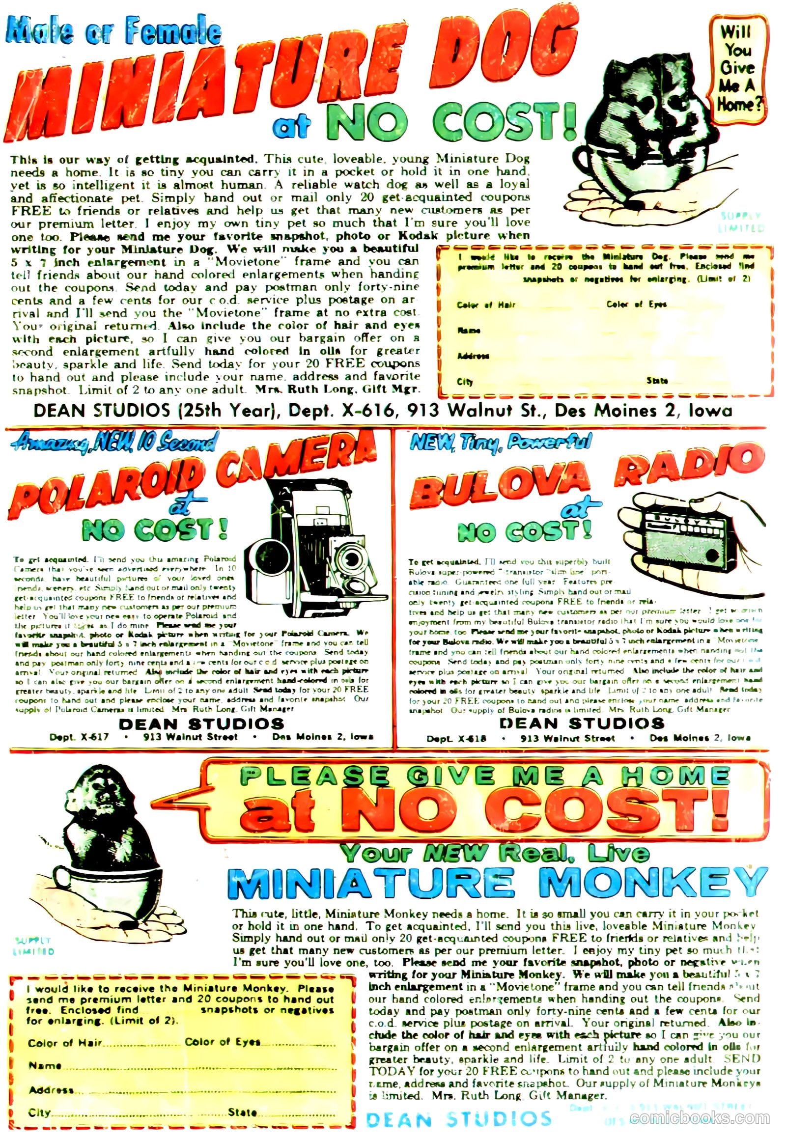 Konga #13 (1963) — page 36 of 36
