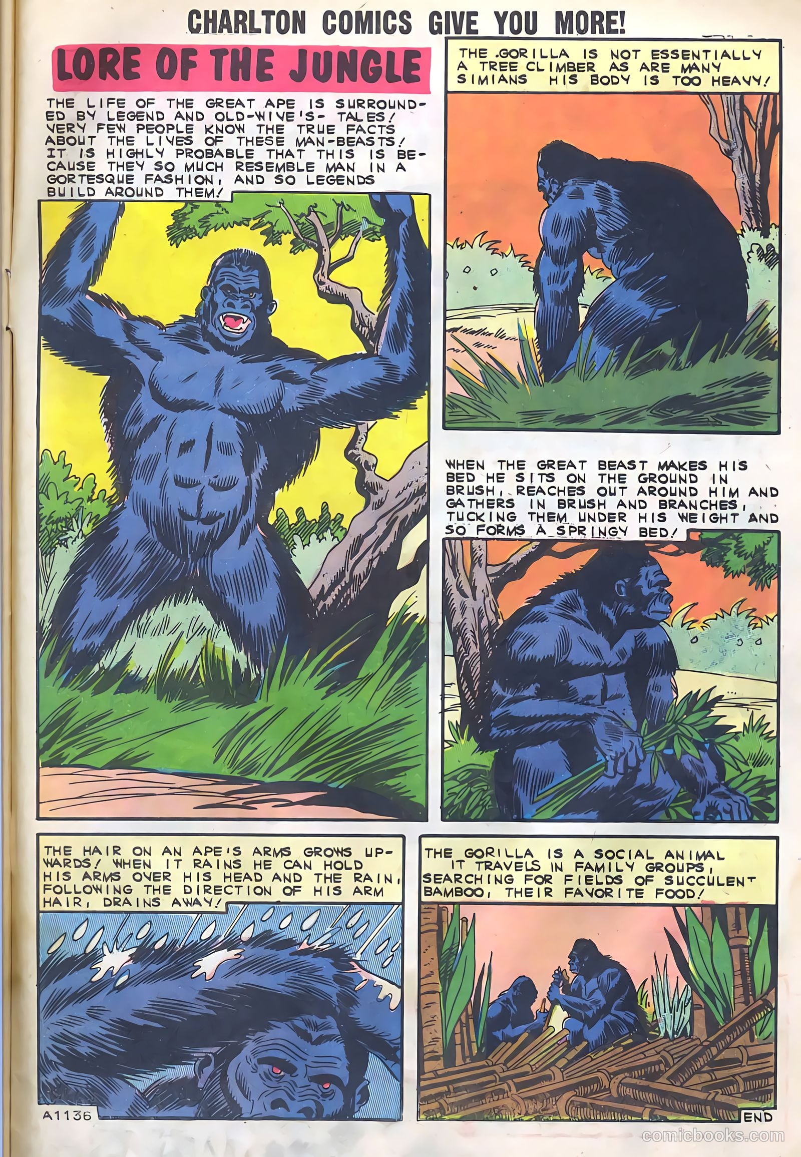 Konga #5 (1962) — page 33 of 36