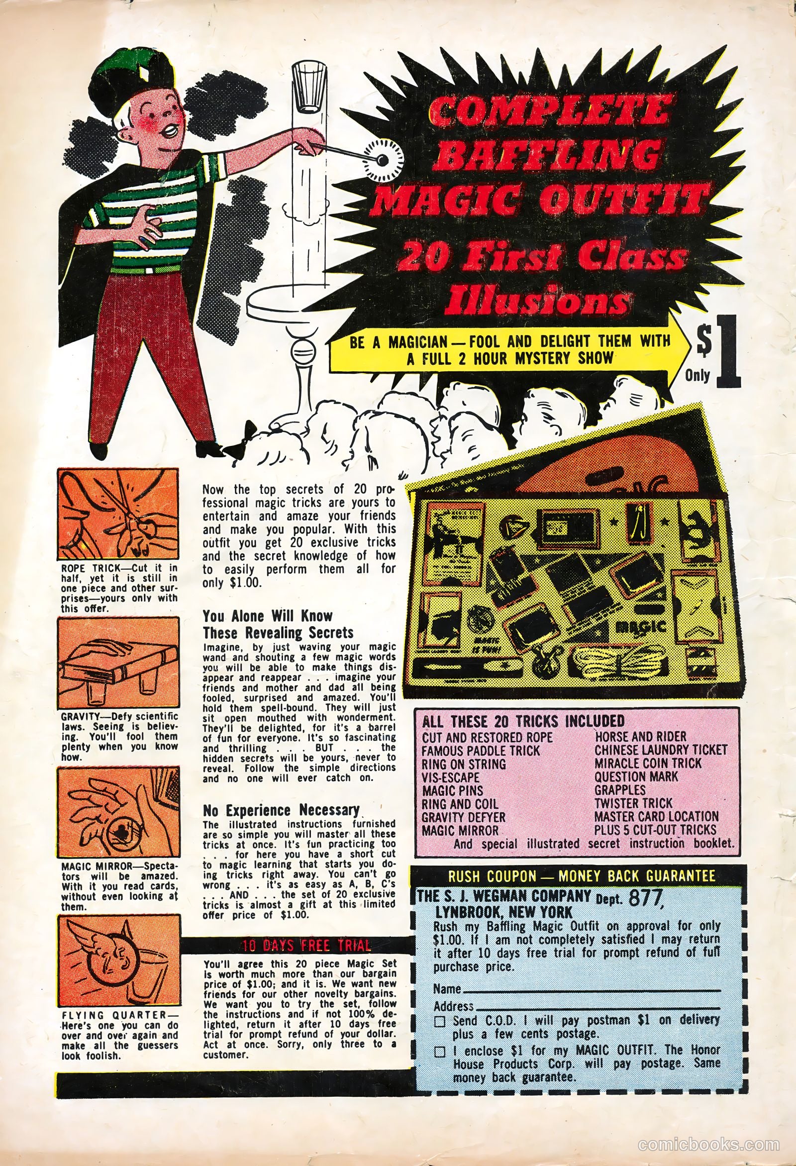 Animal Fun #1 (1953) — page 36 of 36