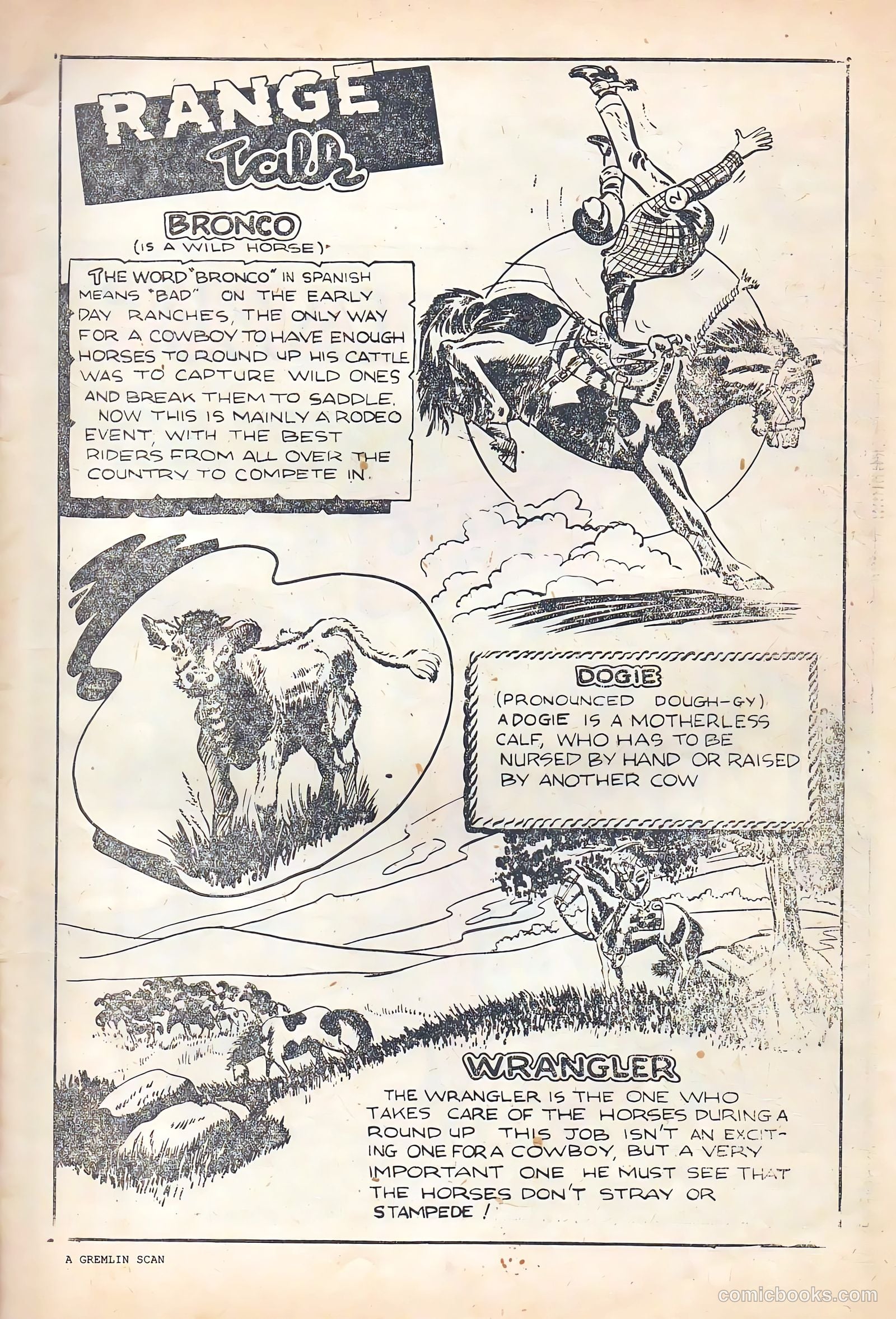 Lash Larue Western #53 (1955) — page 3 of 36