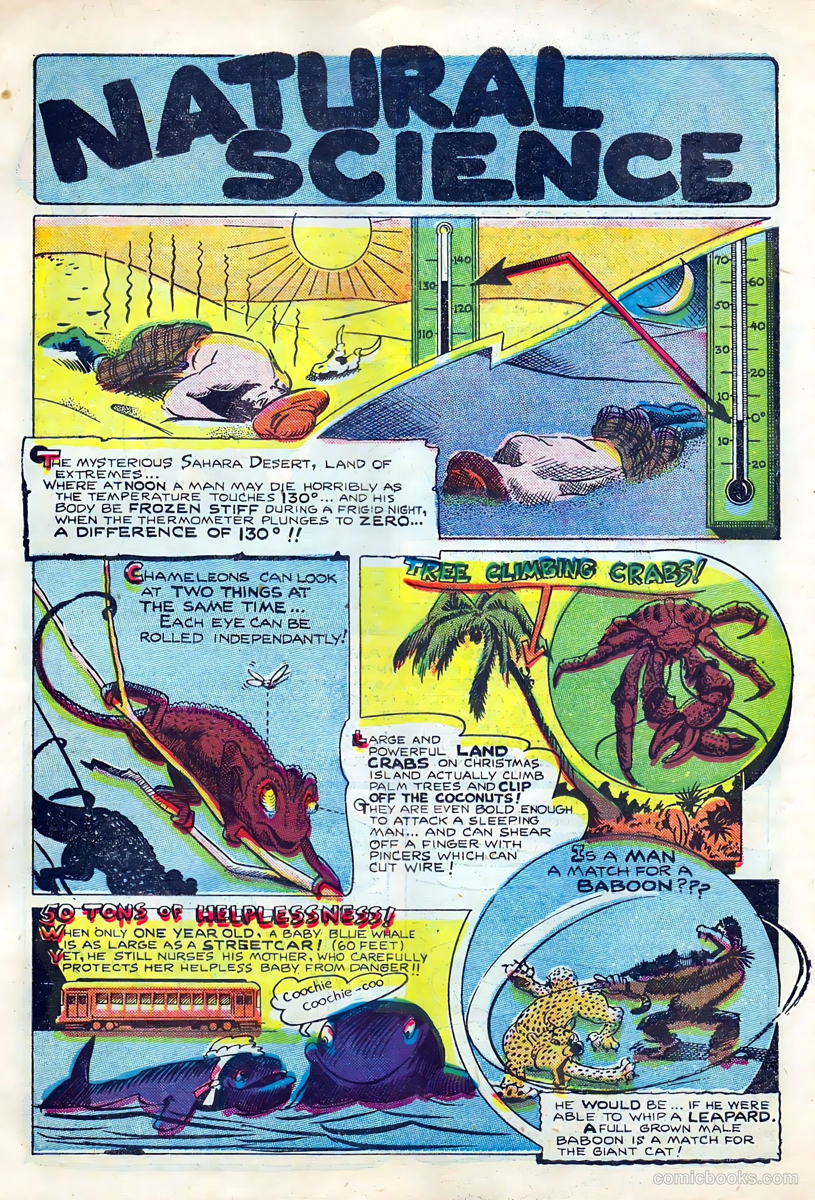 Li'l Pan #6 (1946) — page 23 of 36