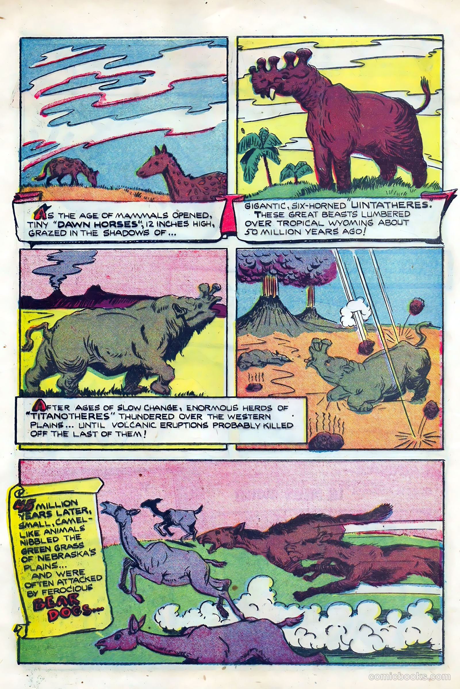 Li'l Pan #6 (1946) — page 25 of 36