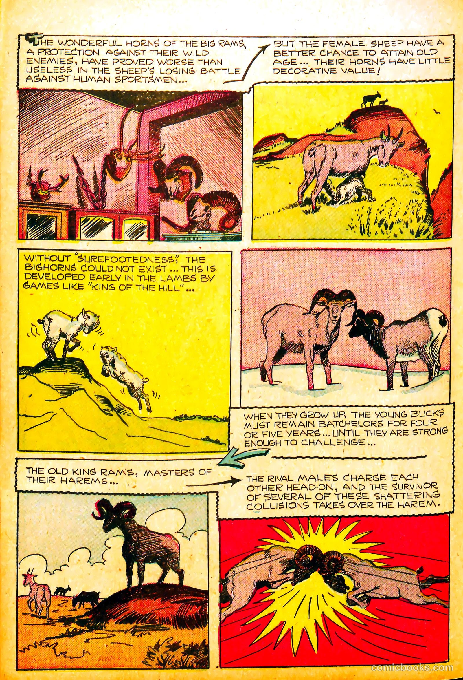 Li'l Pan #8 (1947) — page 24 of 36