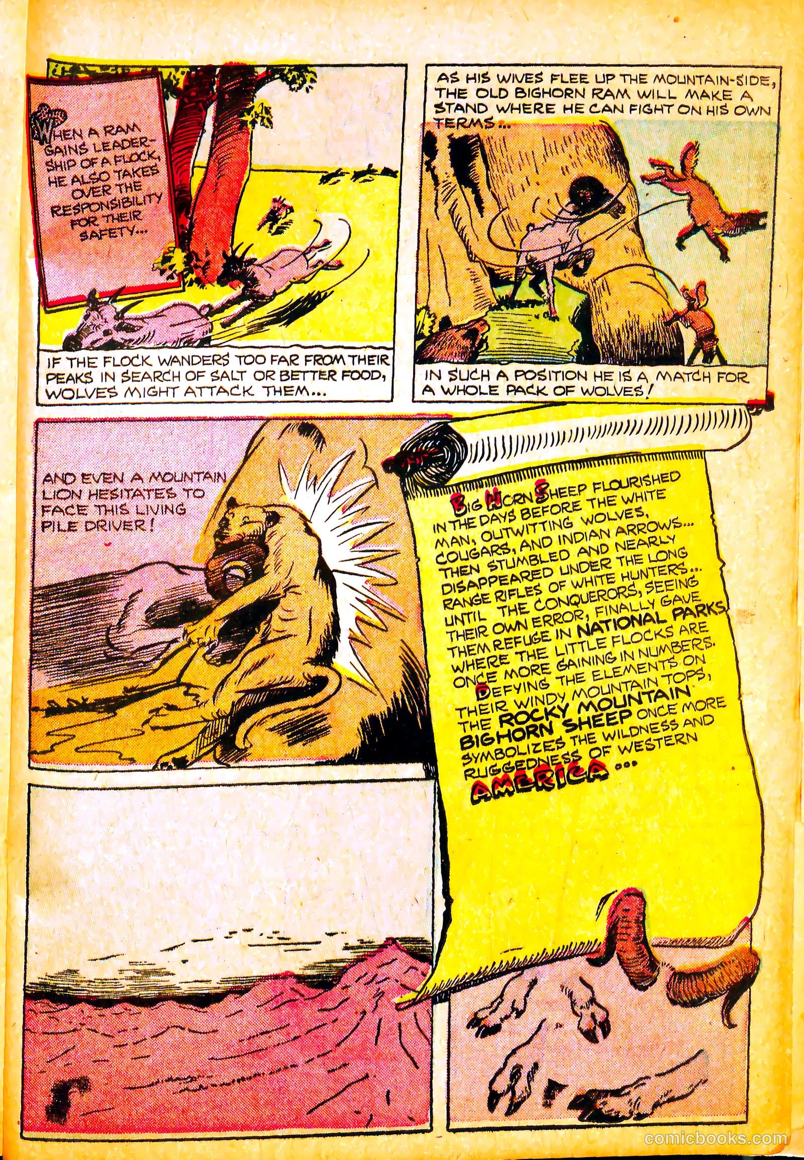 Li'l Pan #8 (1947) — page 25 of 36