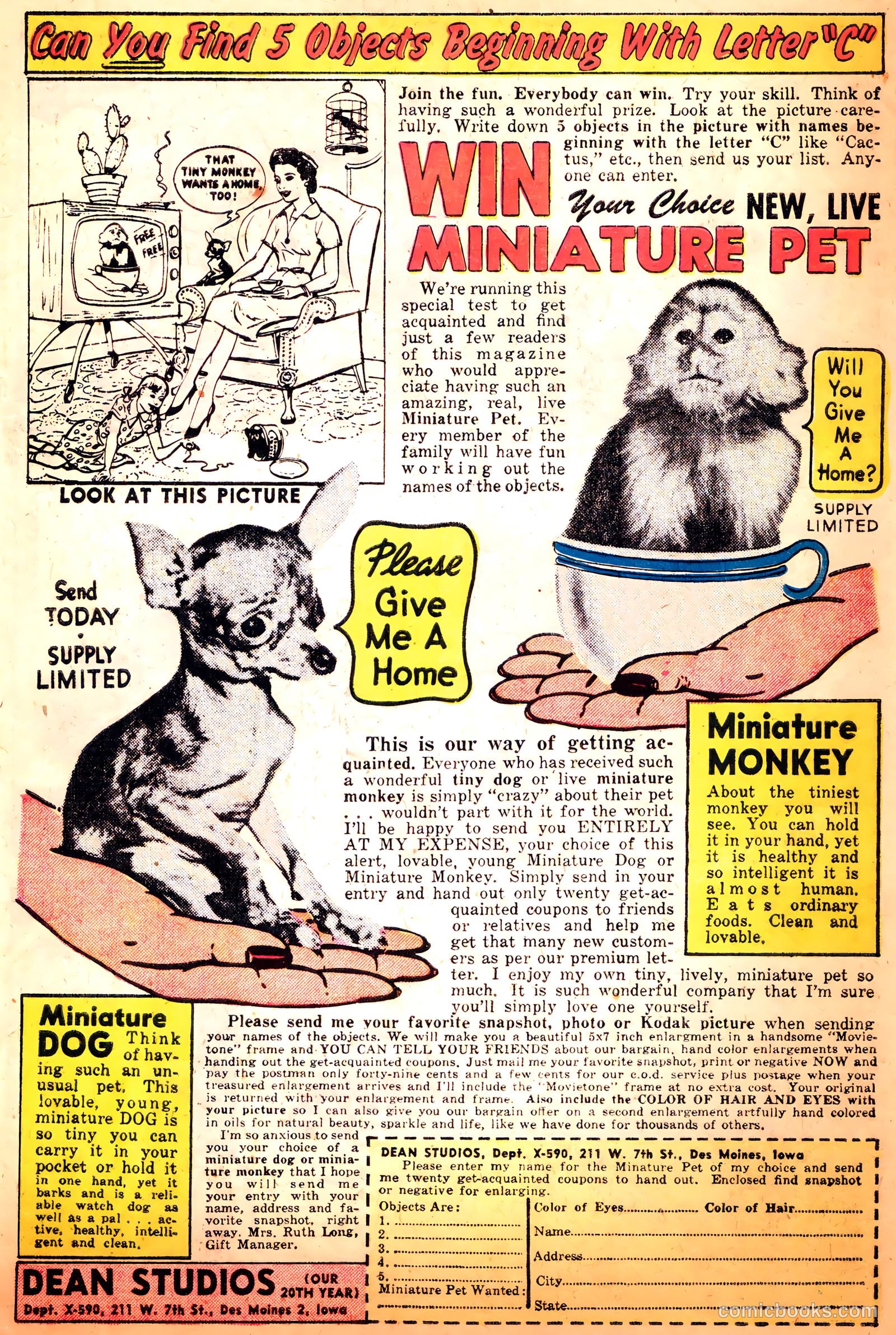 Li'l Tomboy #103 (1959) — page 6 of 35