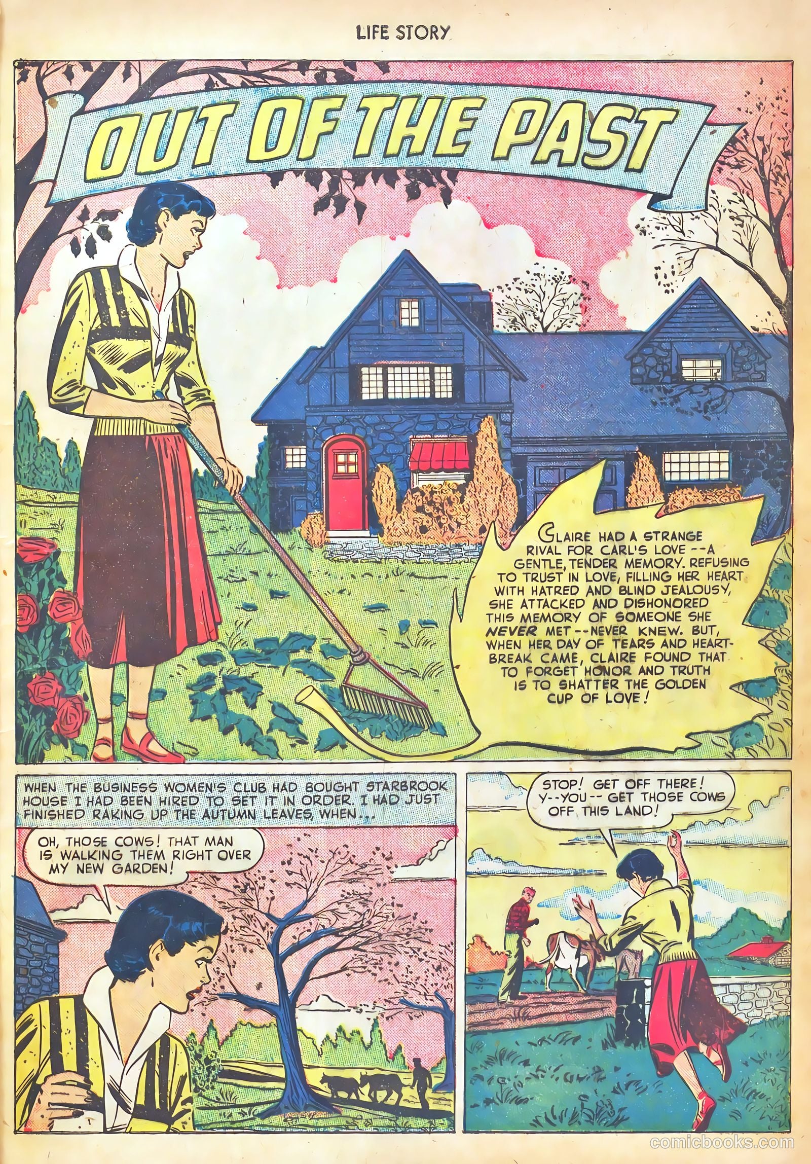 Life Story #14 (1950) — page 17 of 53