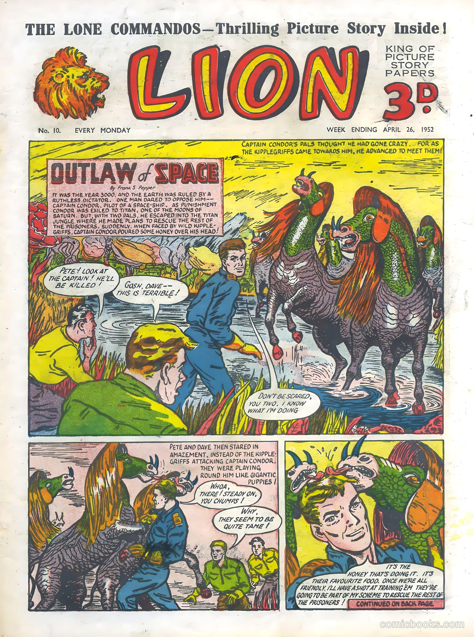 Lion #10