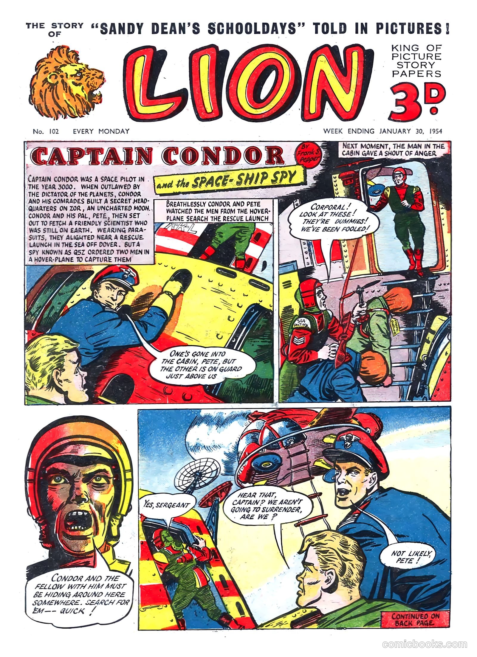Lion #102