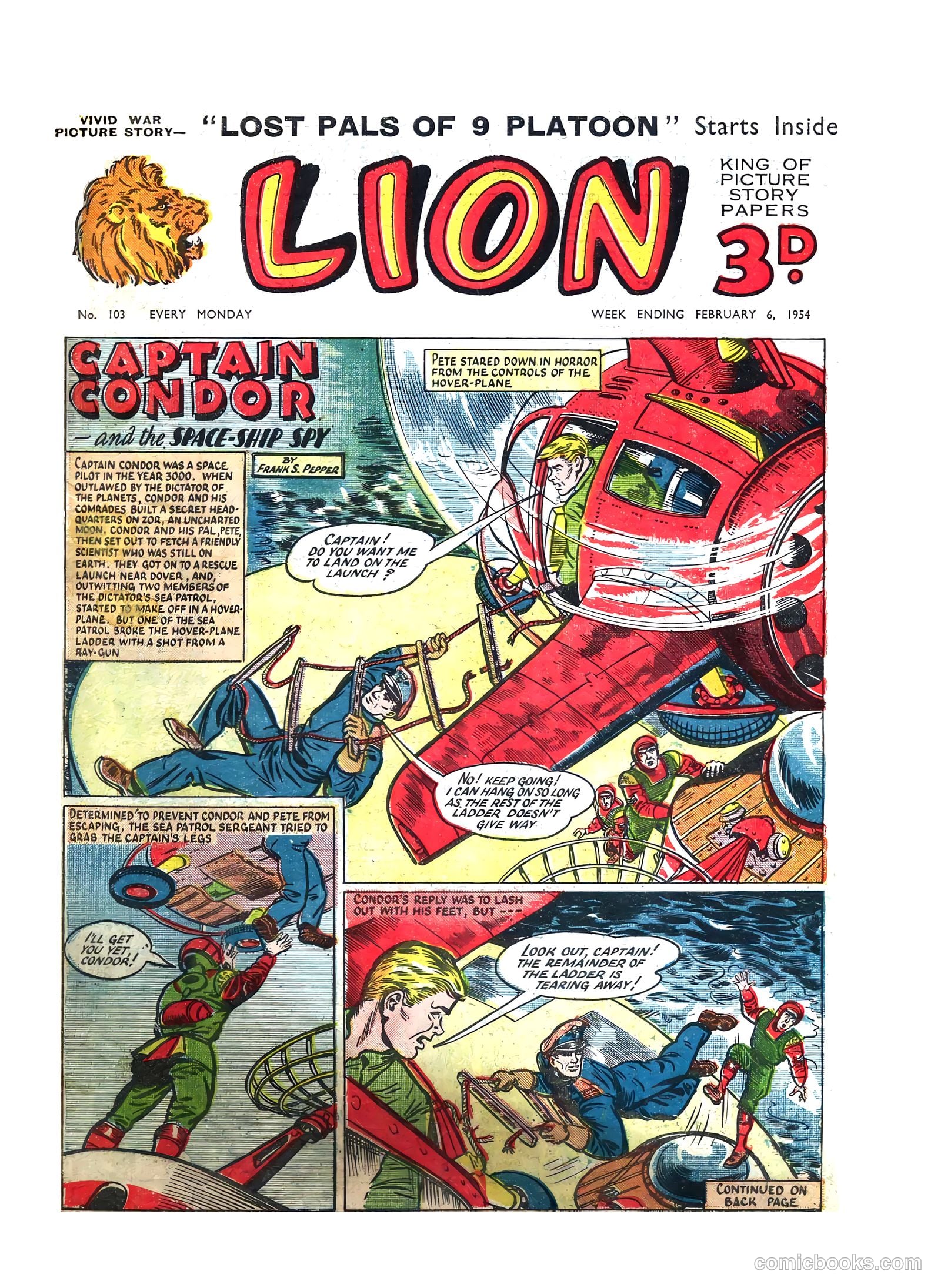 Lion #103