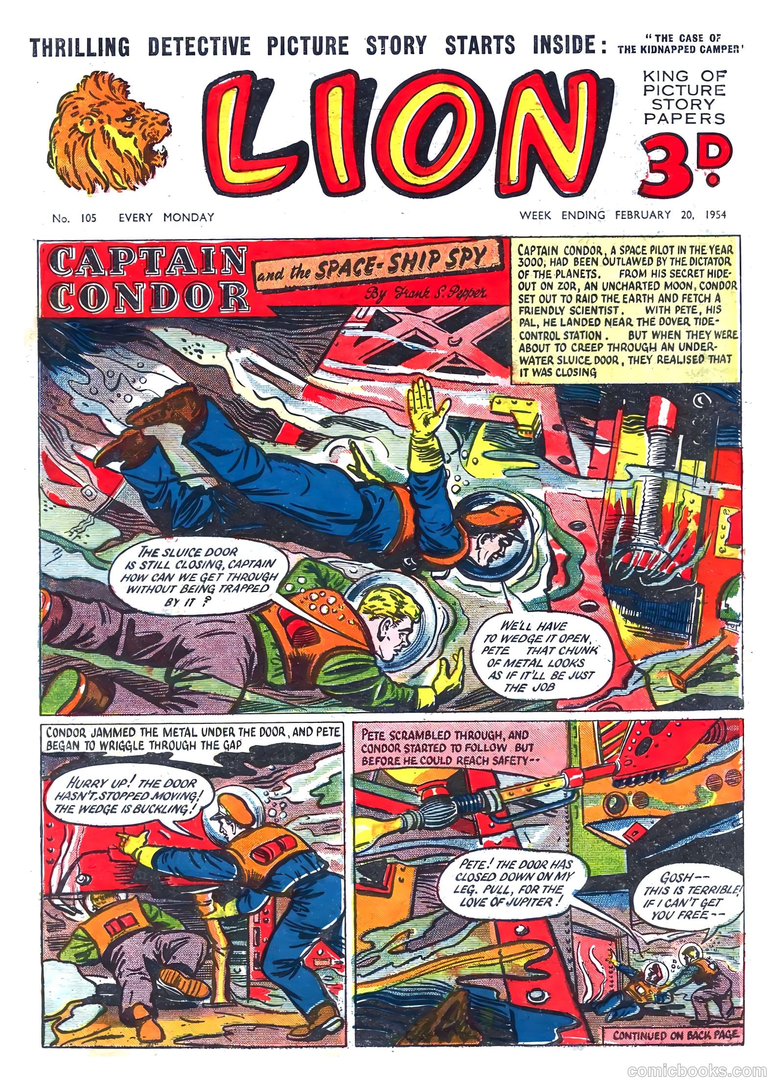 Lion #105