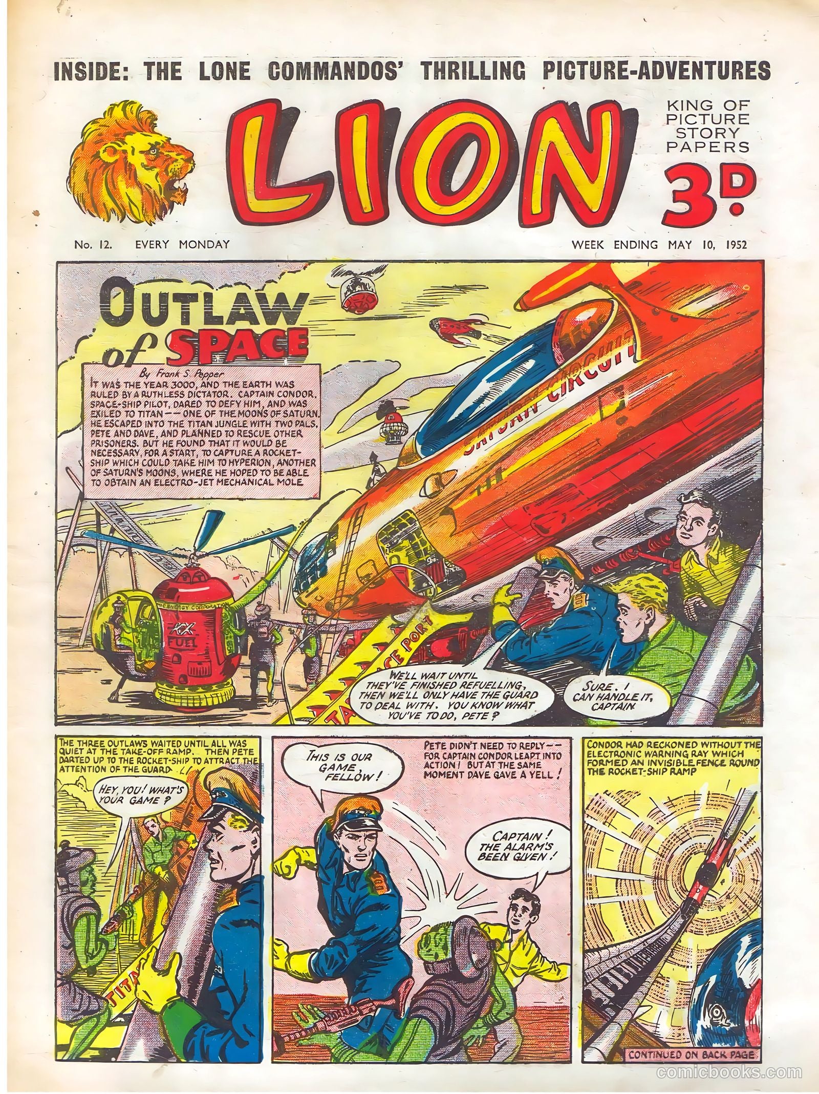 Lion #12