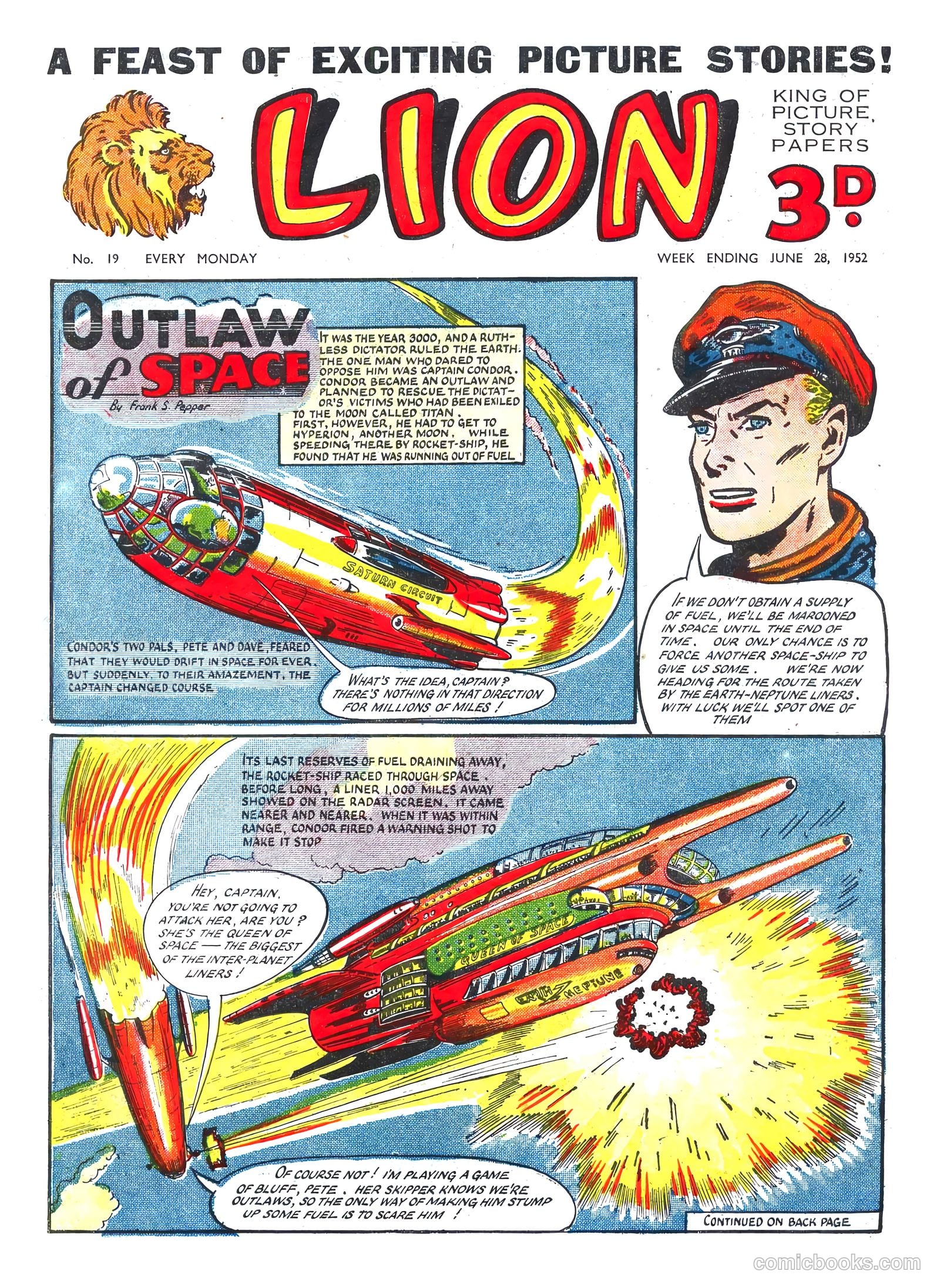 Lion #19