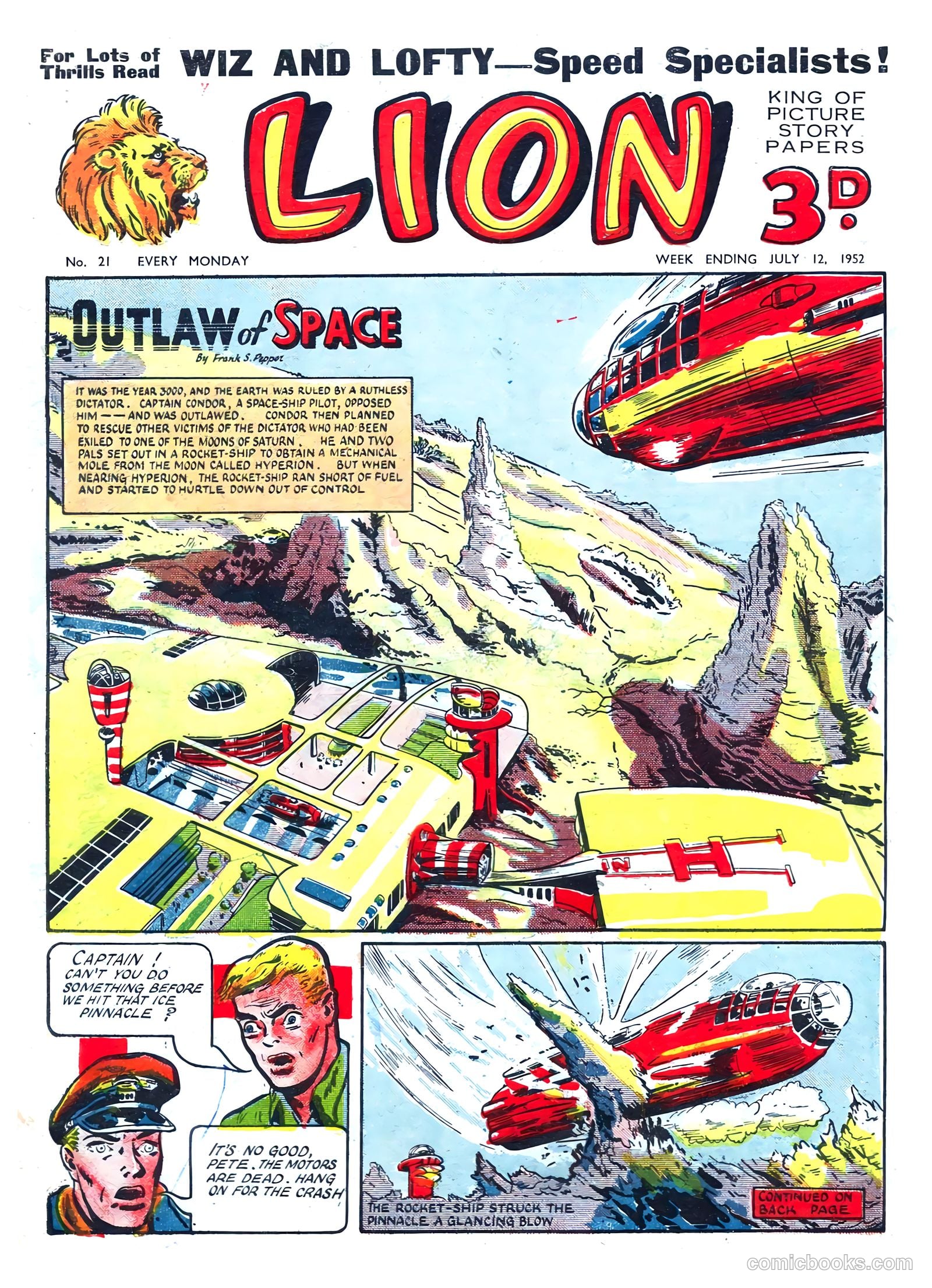 Lion #21