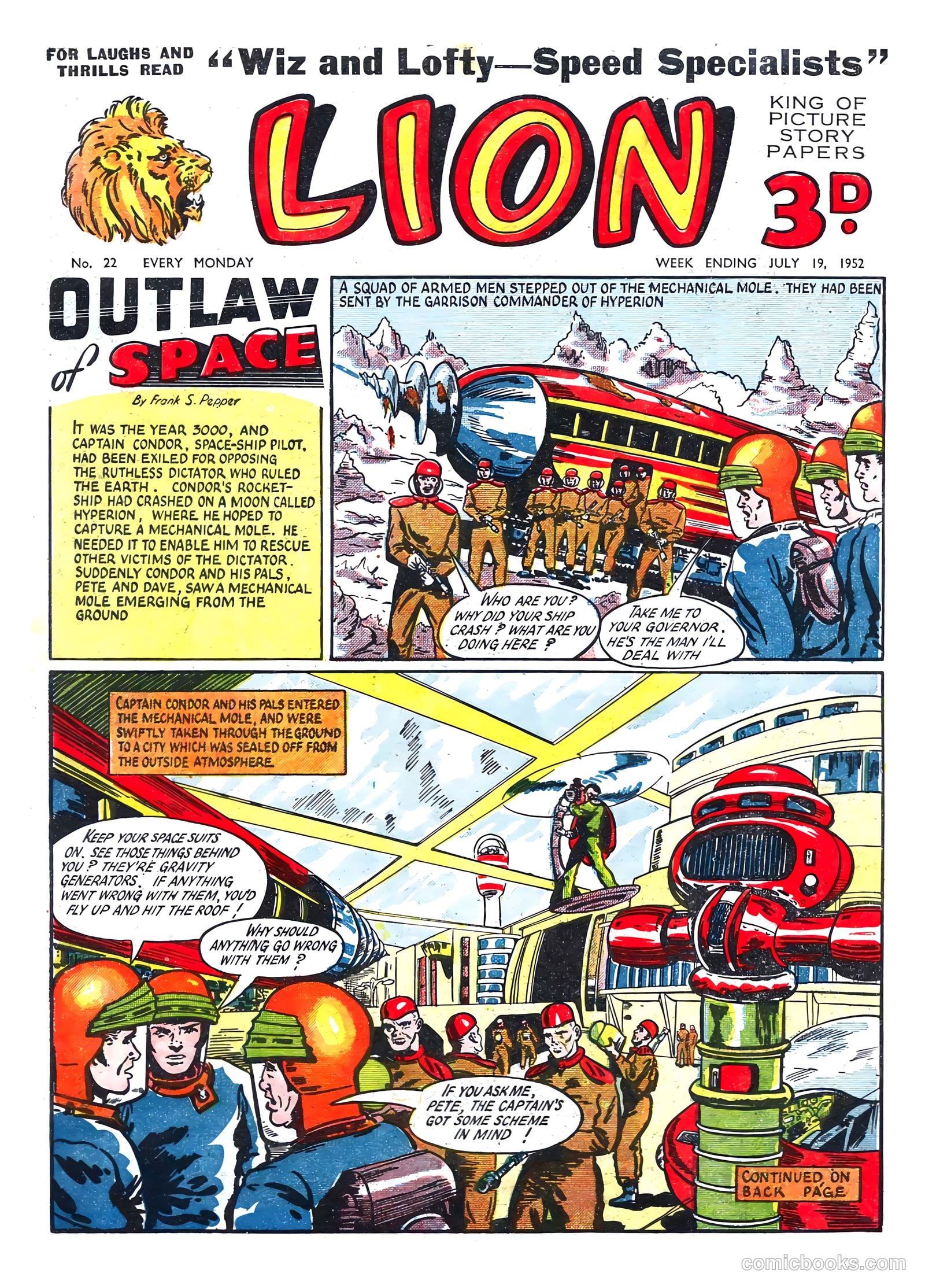 Lion #22