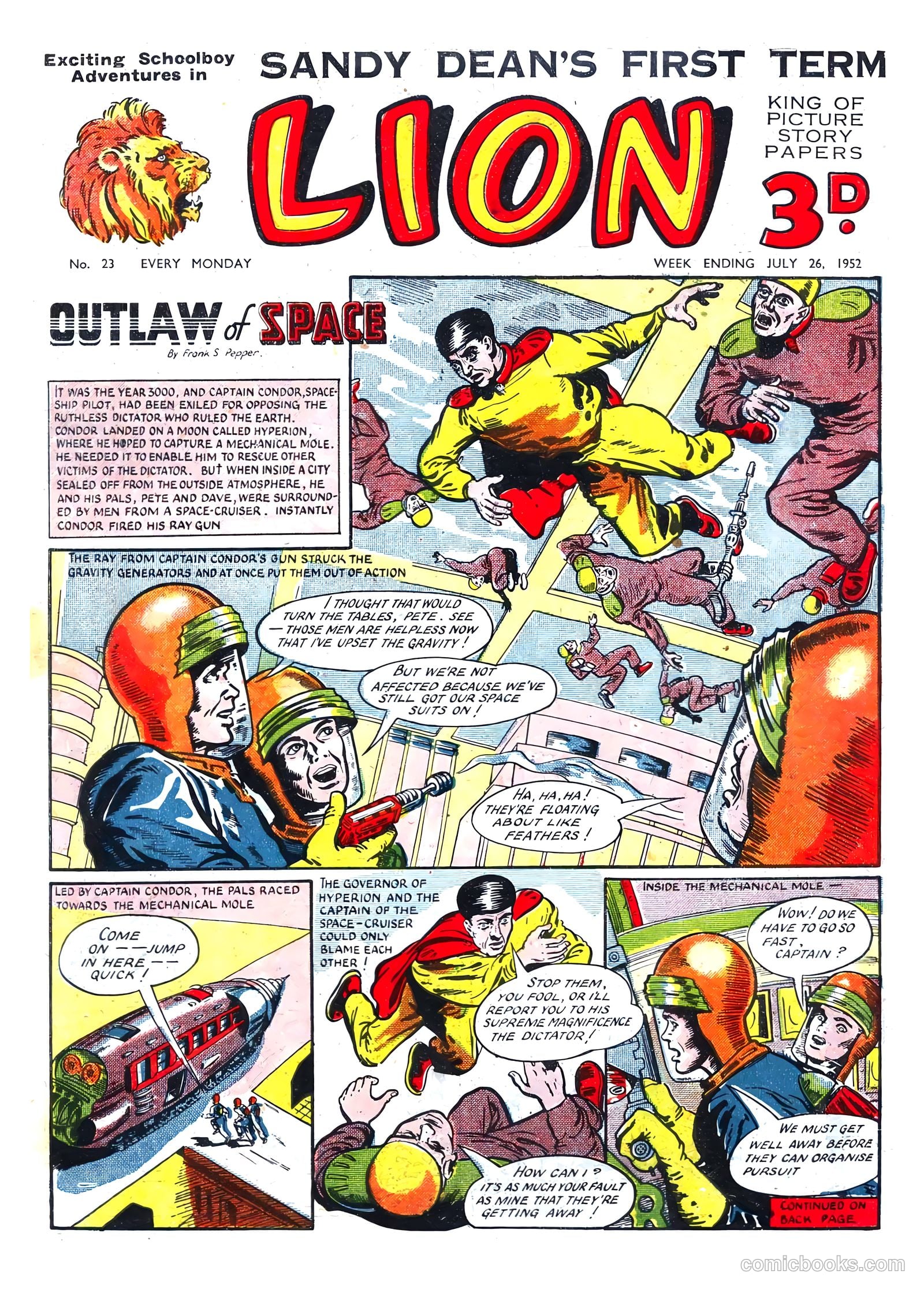 Lion #23