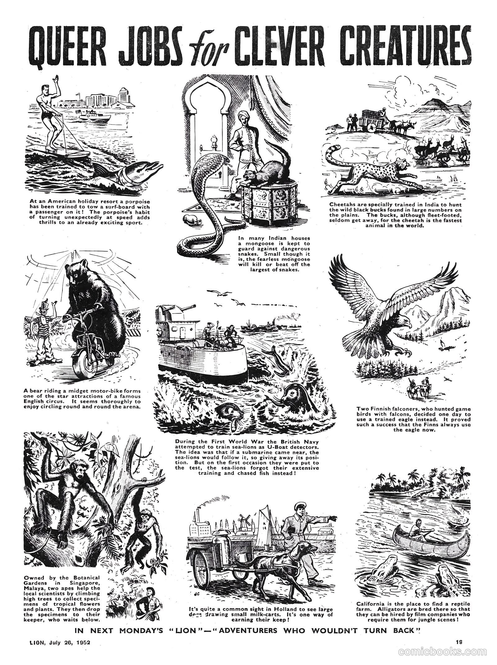 Lion #23 (1952) — page 19 of 20