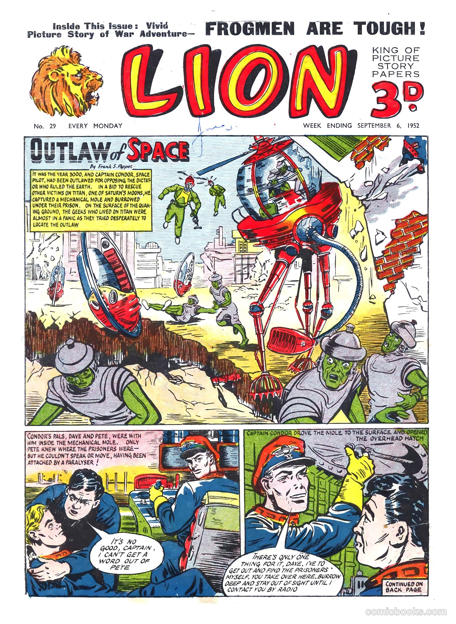 Lion #29