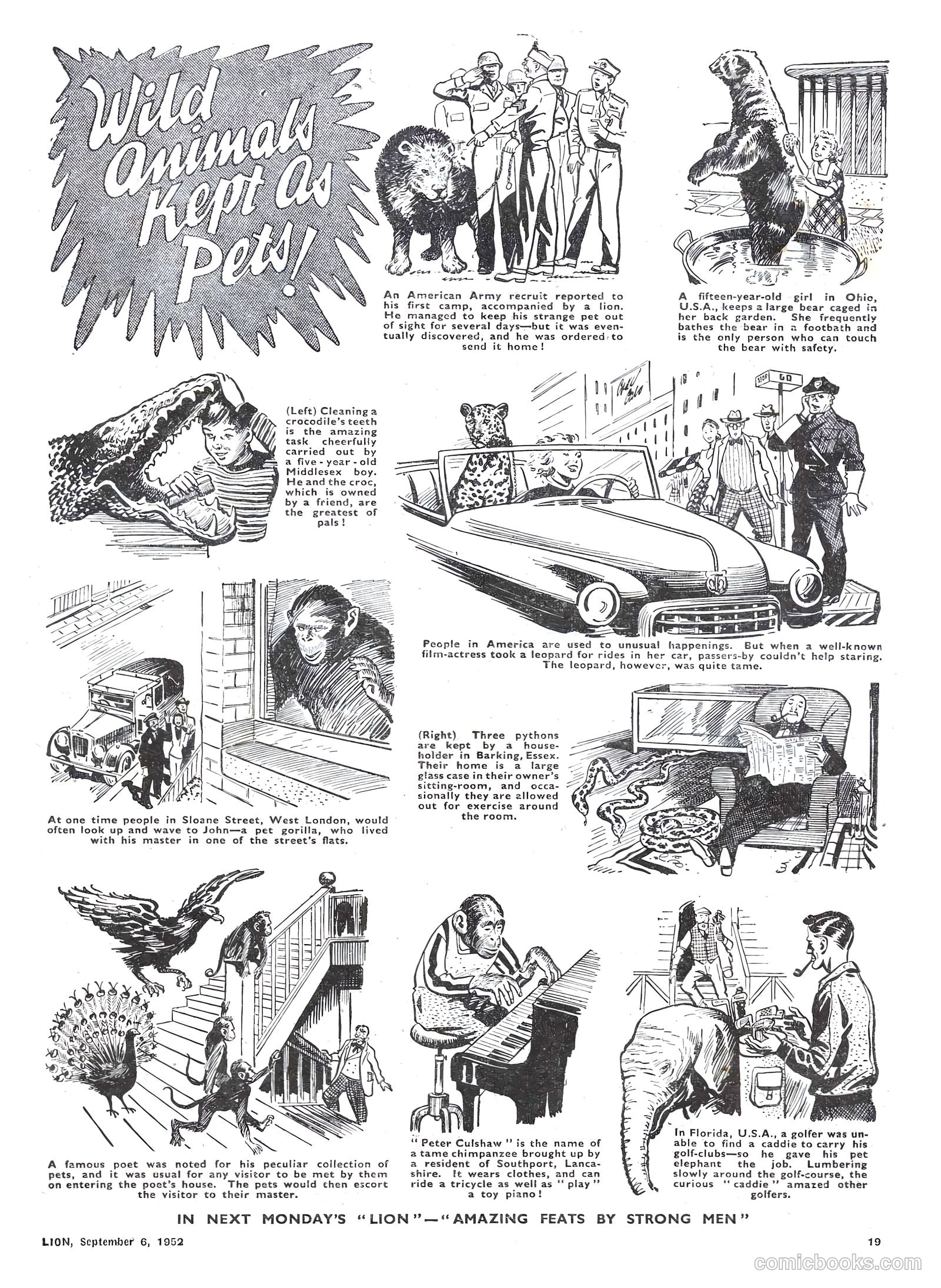 Lion #29 (1952) — page 19 of 20