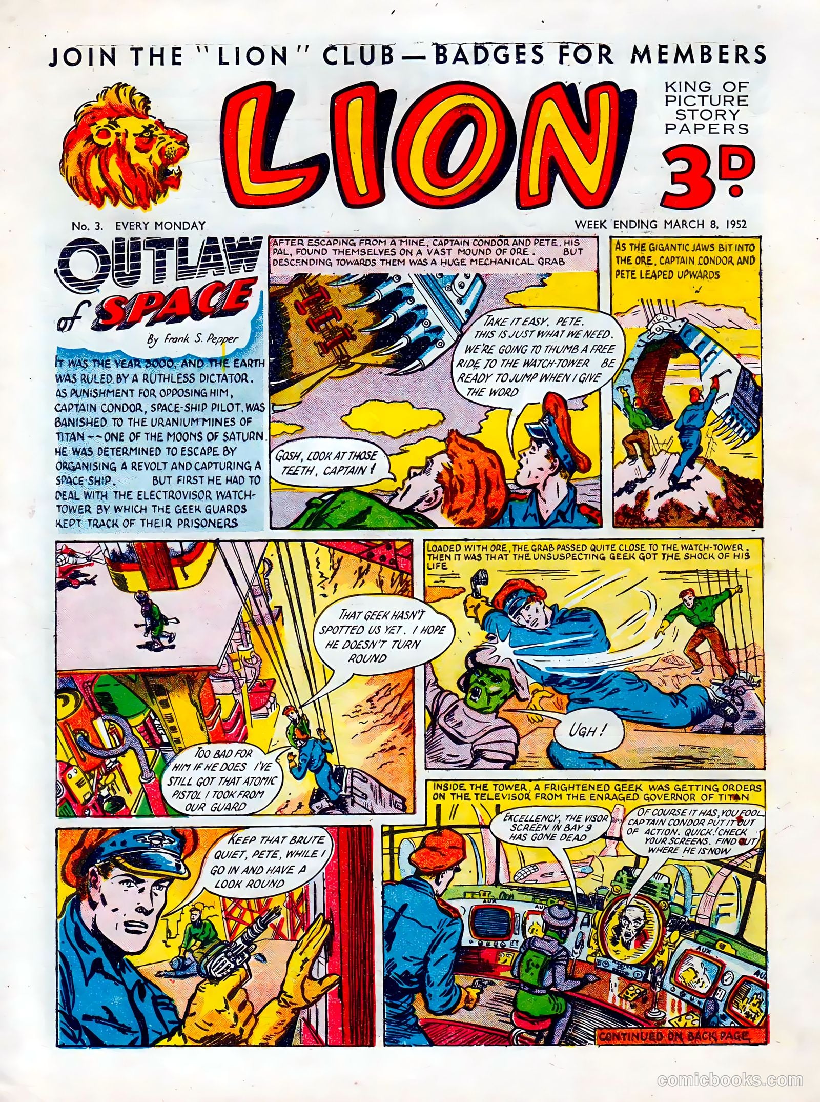 Lion #3