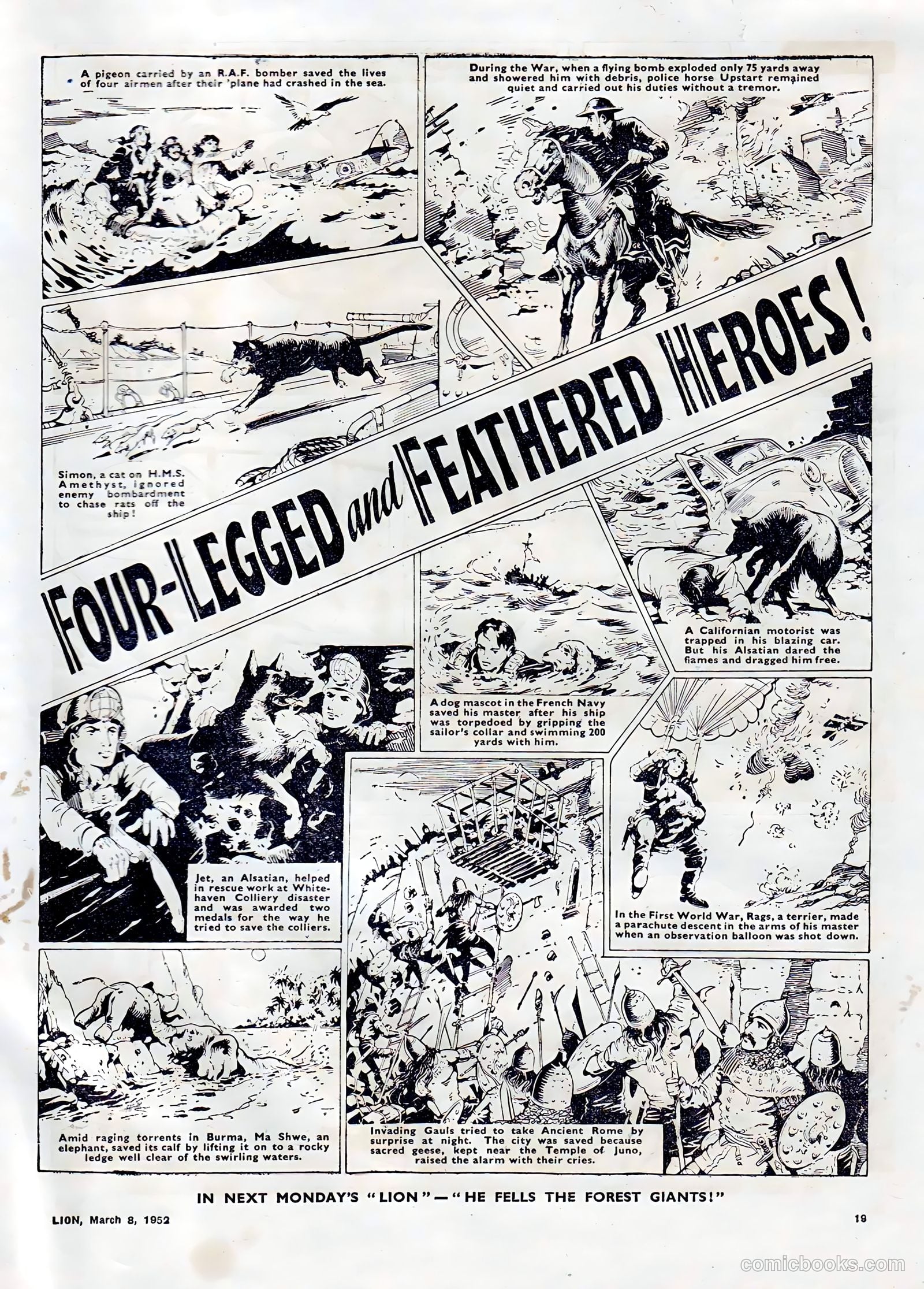 Lion #3 (1952) — page 19 of 20