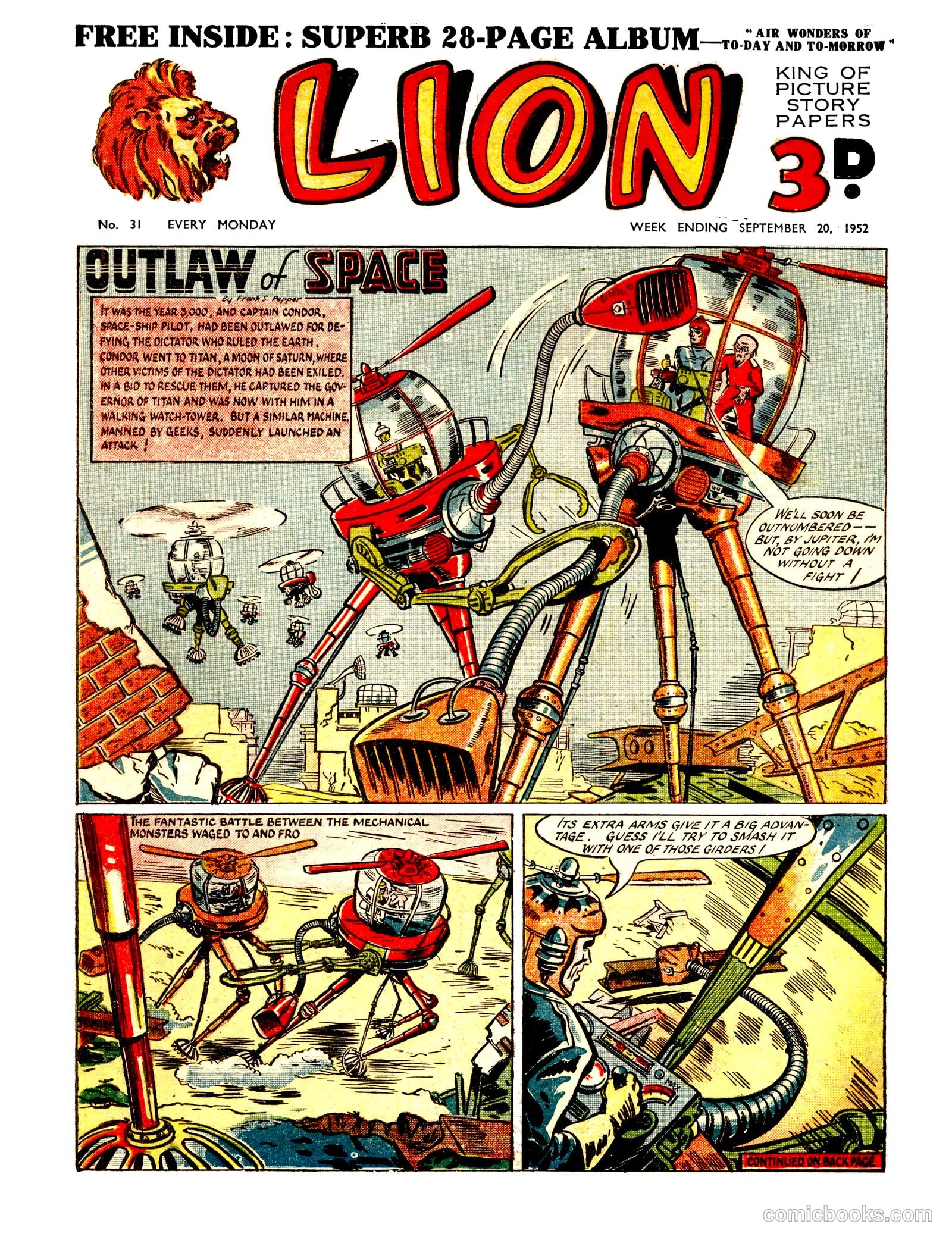 Lion #31