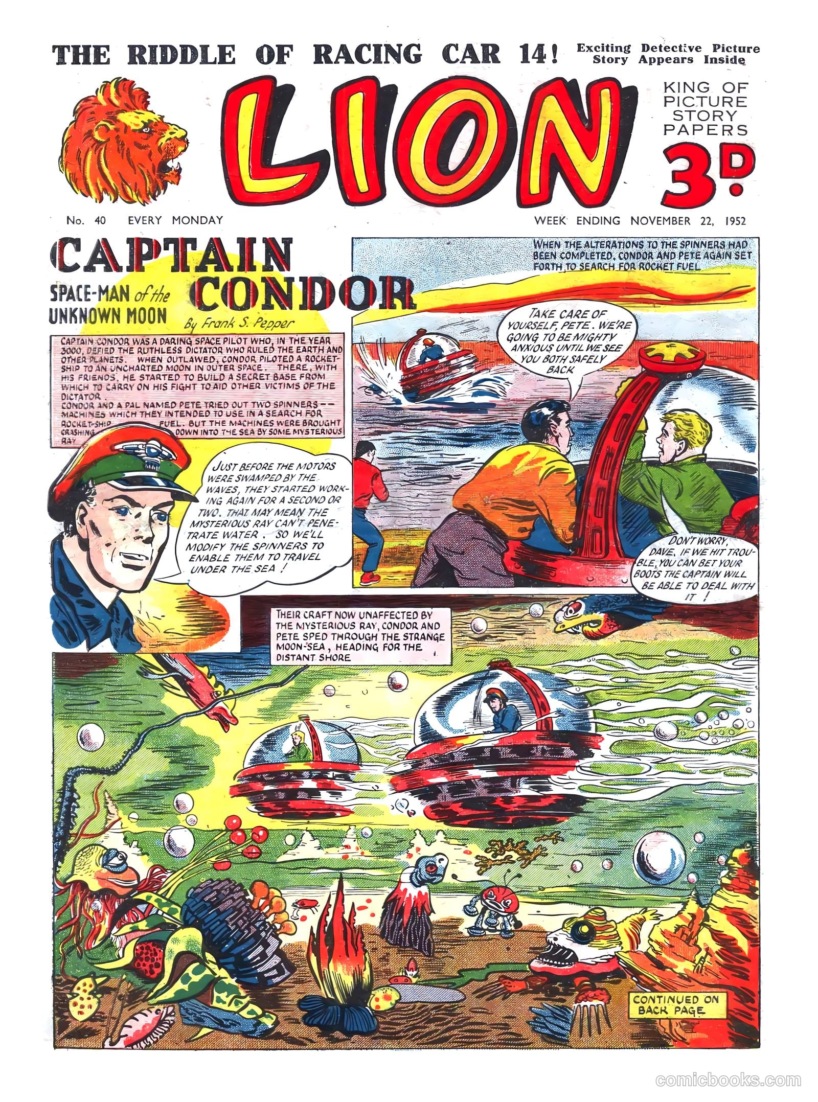 Lion #40