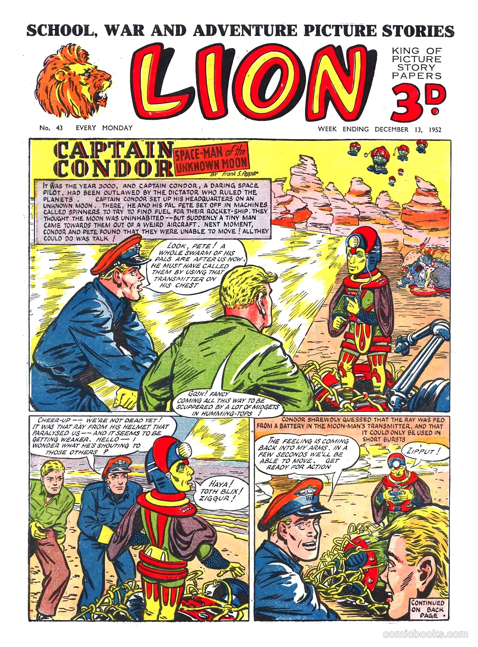 Lion #43