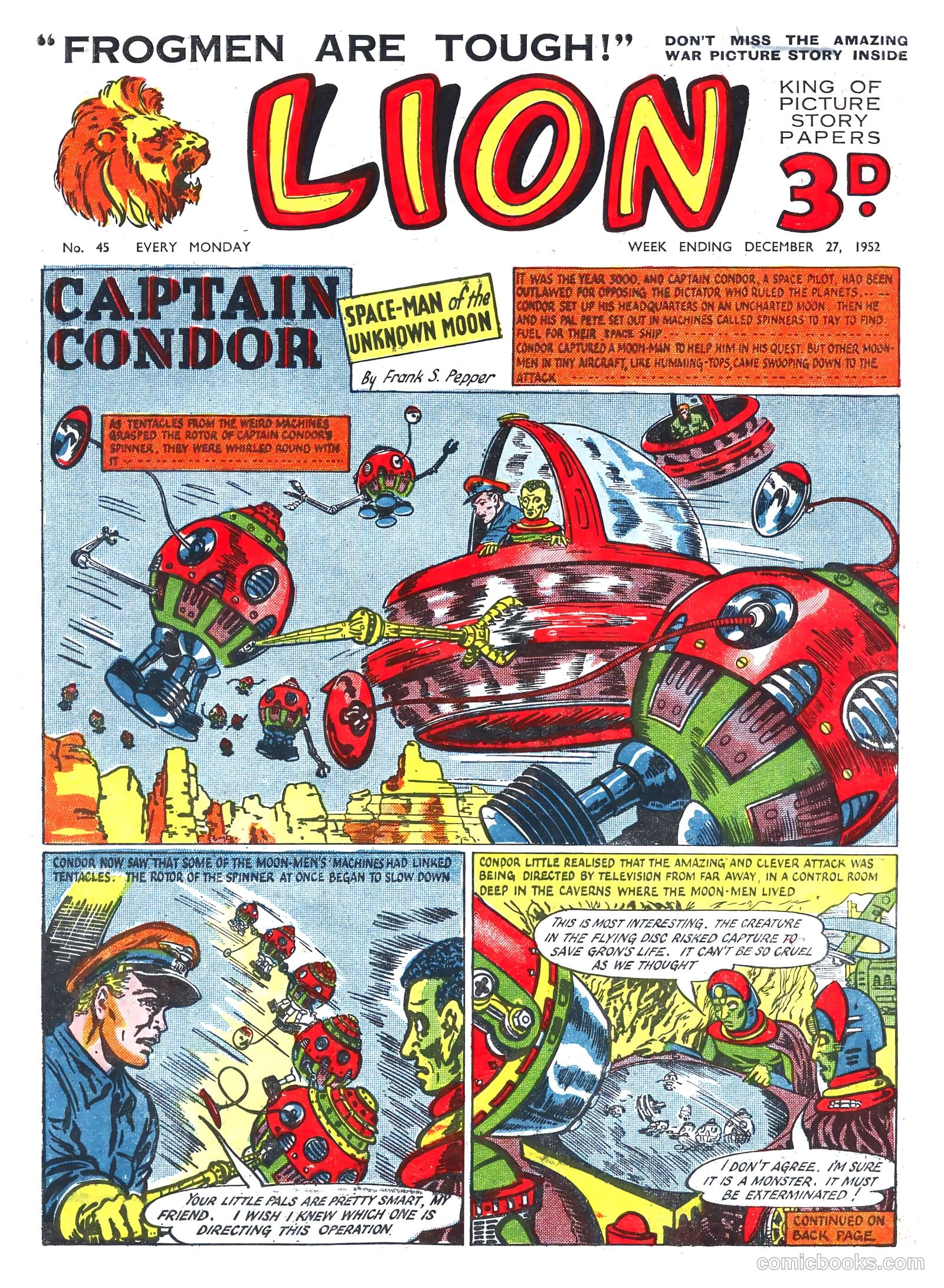 Lion #45