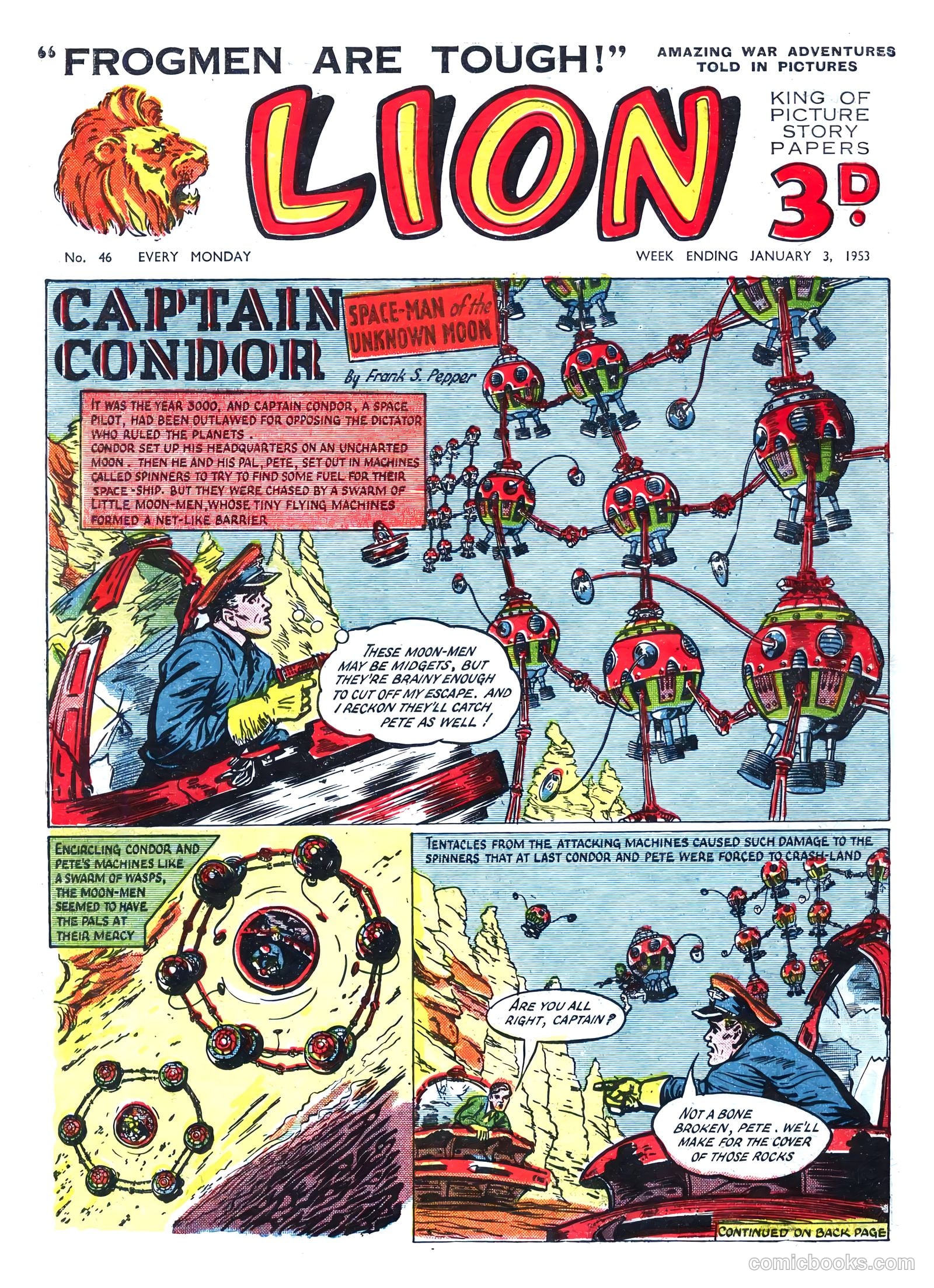 Lion #46