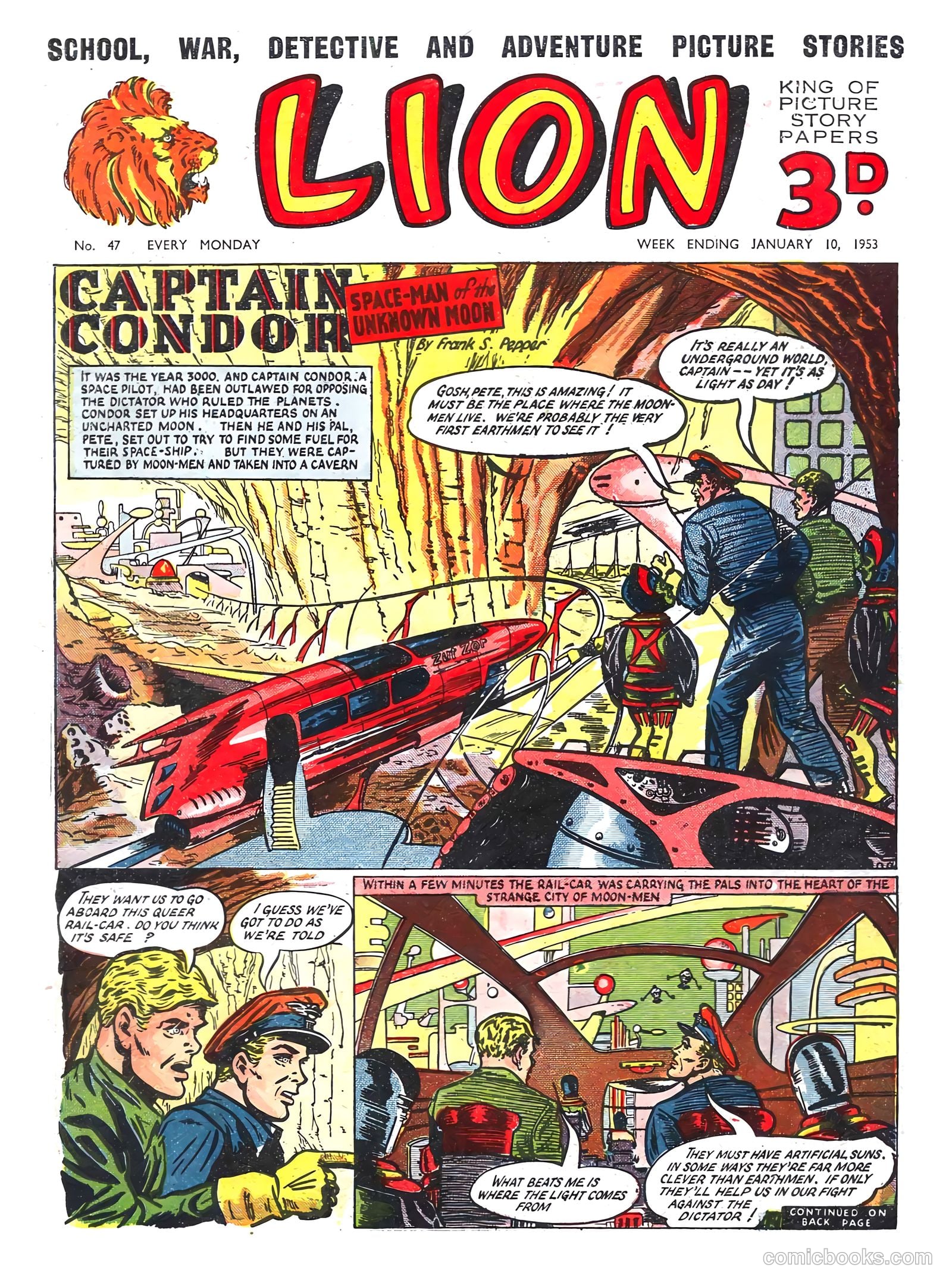 Lion #47